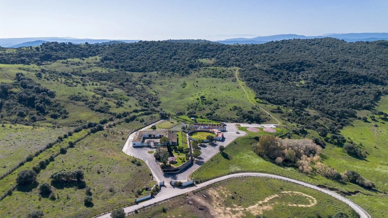 - (9 of 17) Large.jpeg