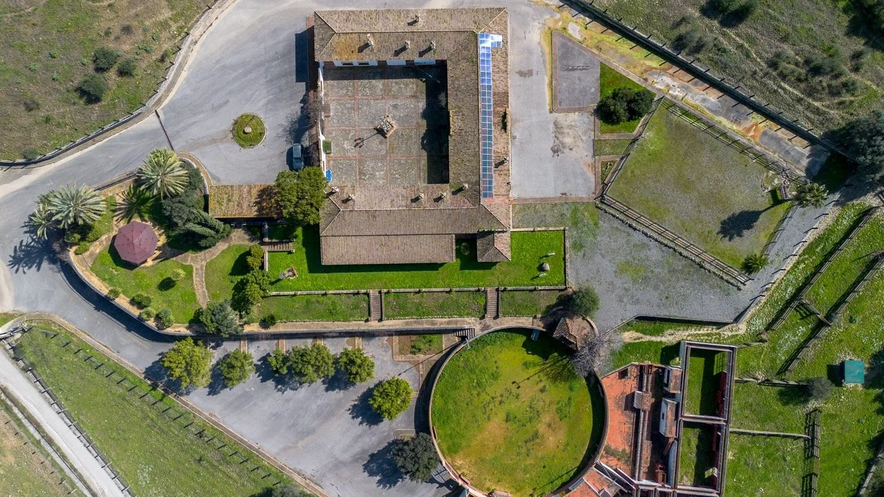 - (10 of 17) Large.jpeg