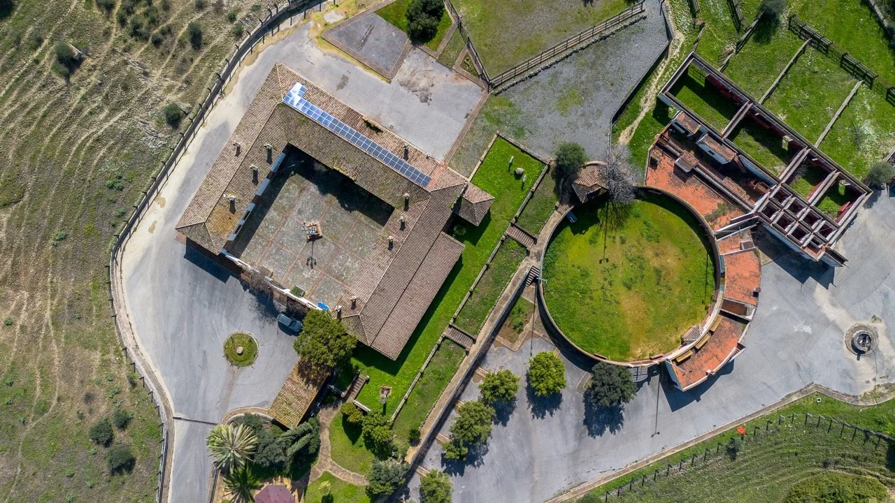 - (11 of 17) Large.jpeg