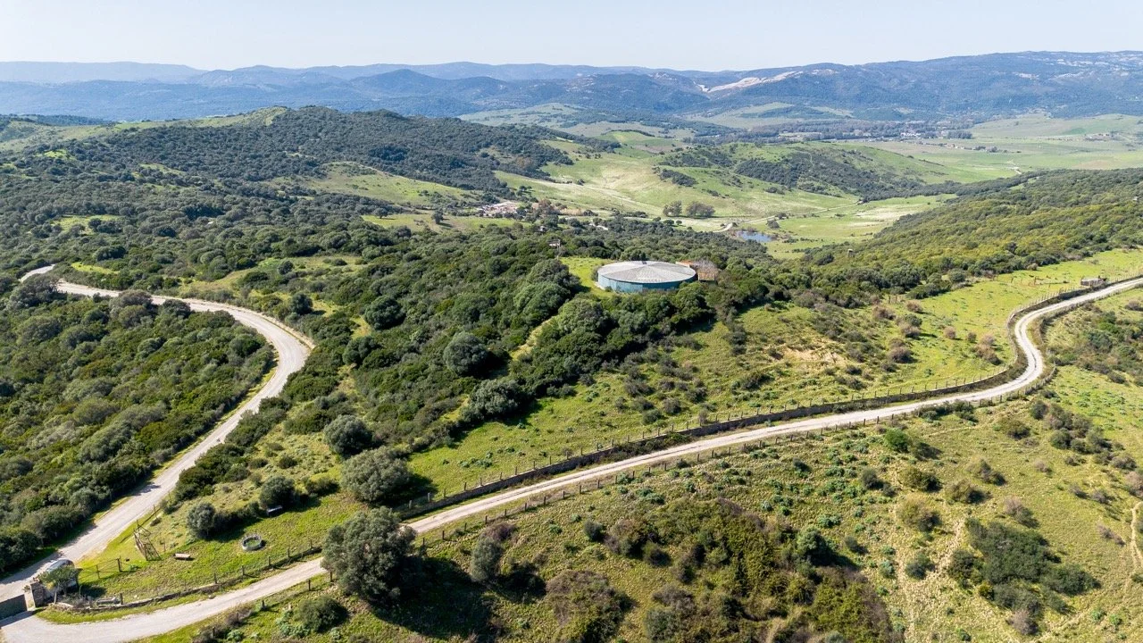 - (12 of 17) Large.jpeg