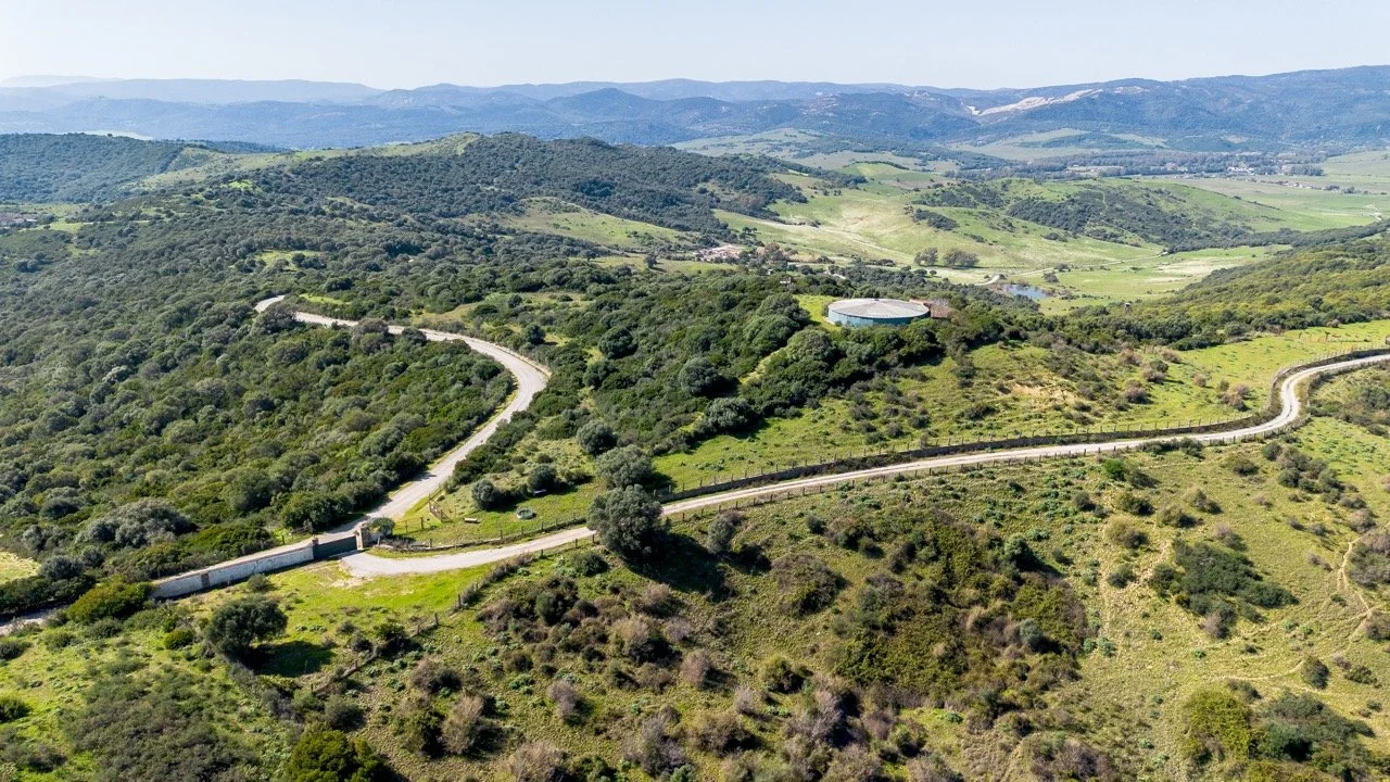 - (13 of 17) Large.jpeg