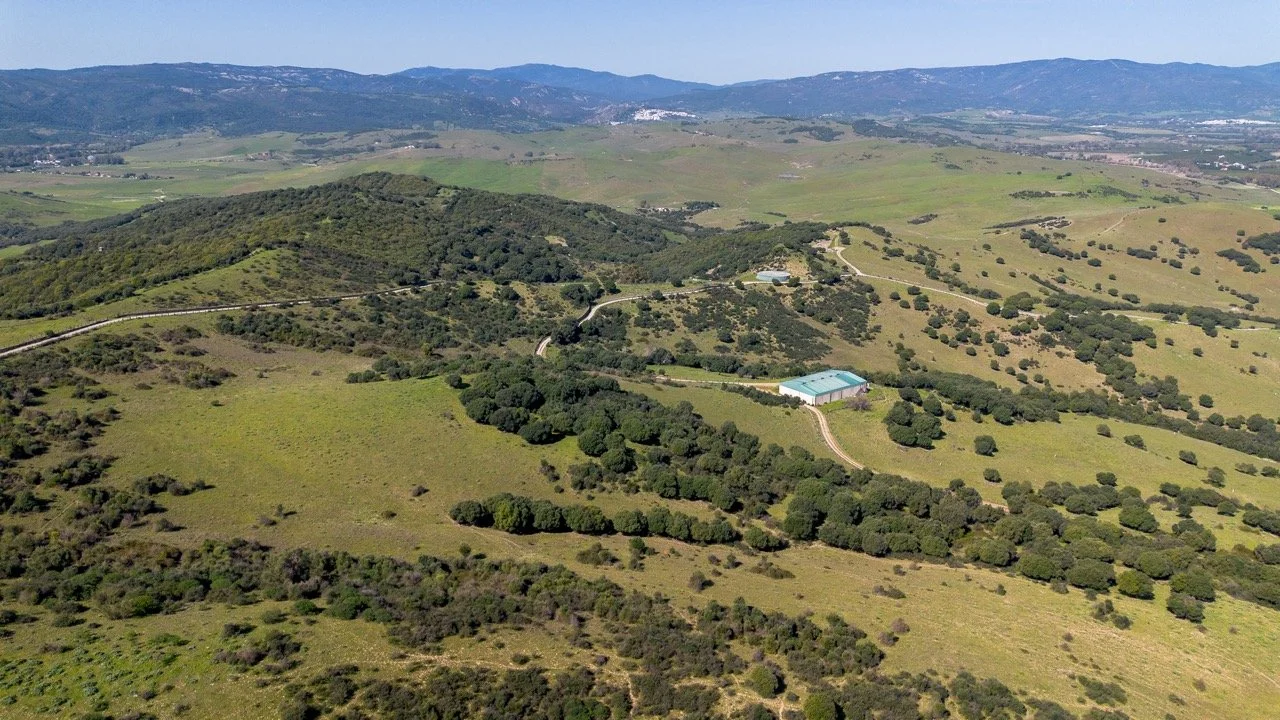 - (15 of 17) Large.jpeg