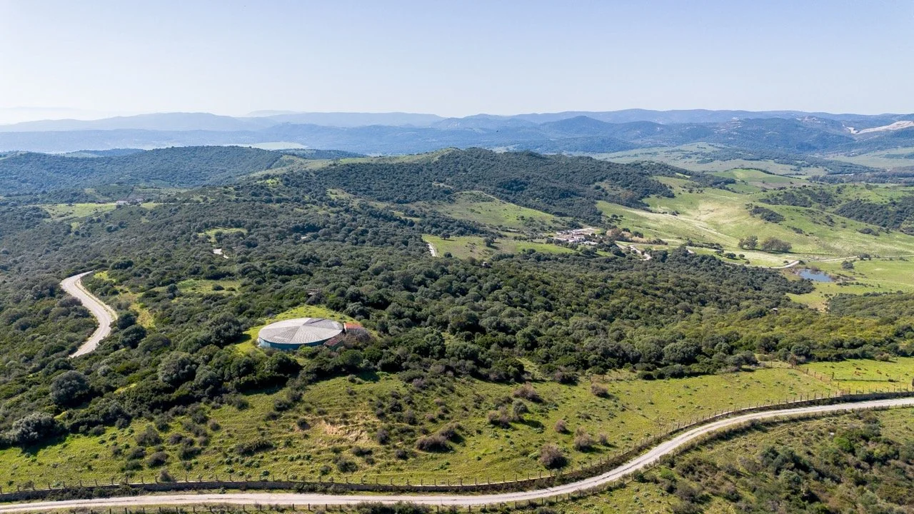 - (16 of 17) Large.jpeg