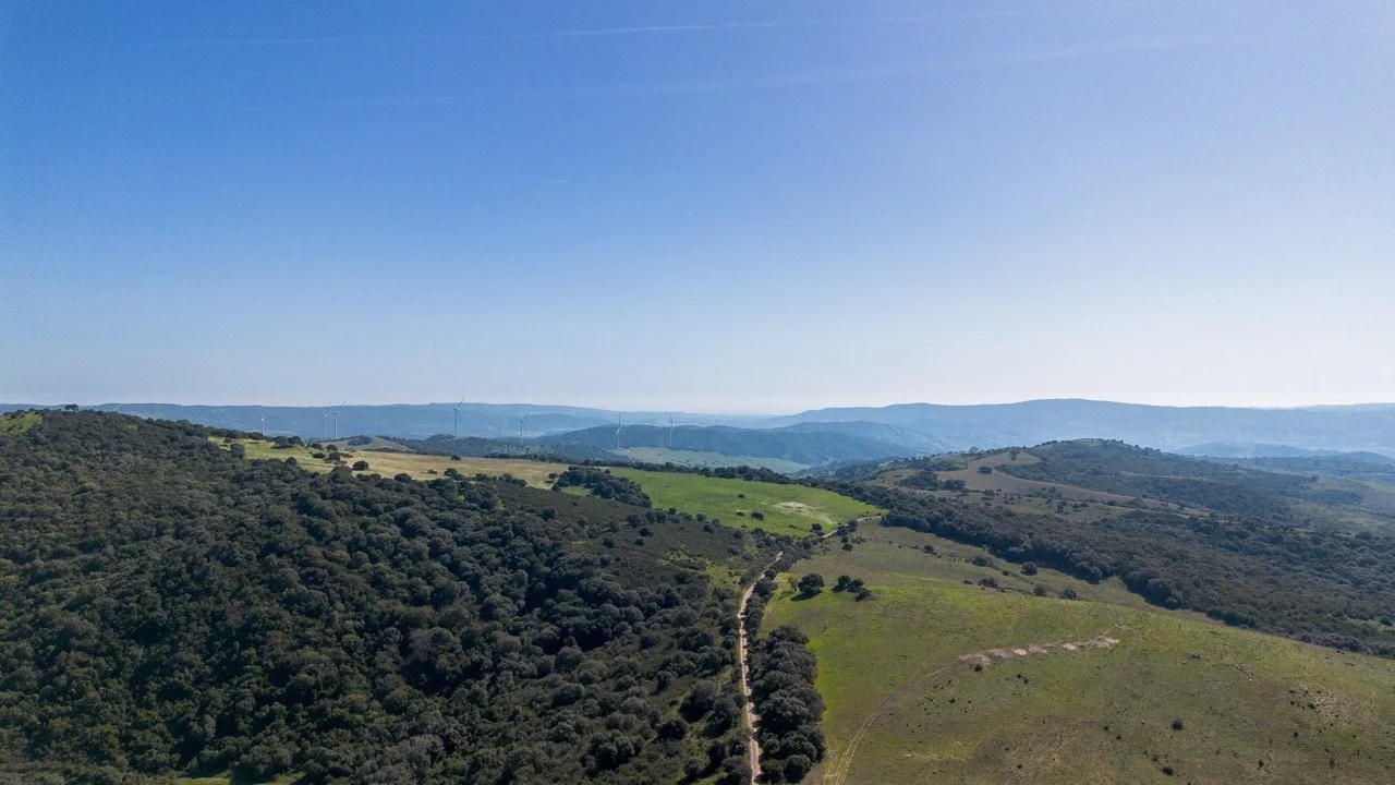 - (17 of 17) Large.jpeg