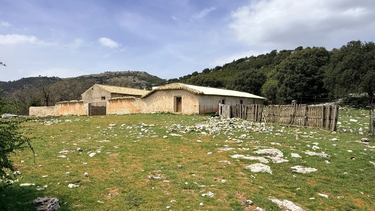 IMG_4959 Large.jpeg