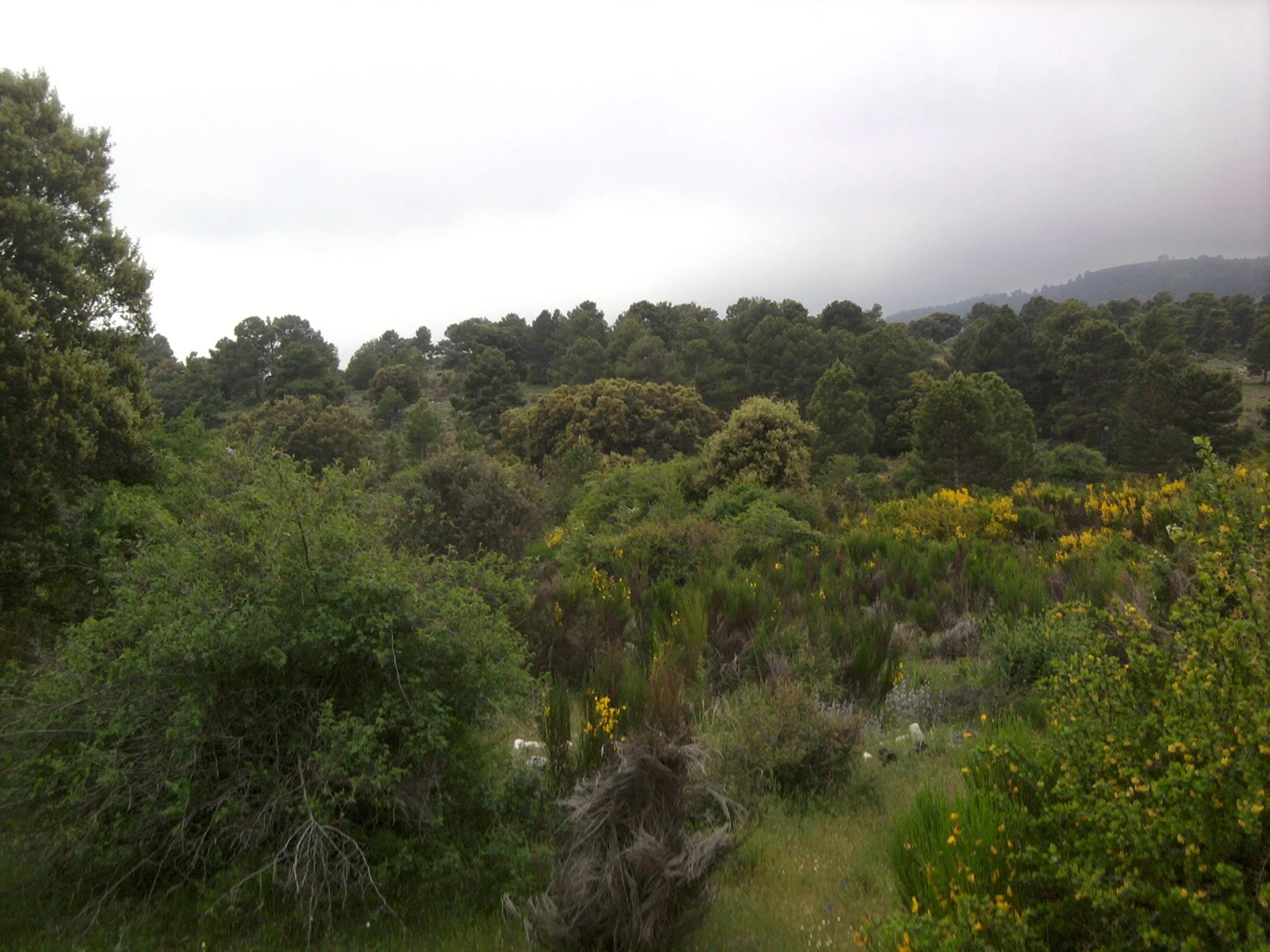 2011-06-02 20.06.23 (2022_09_02 05_09_23 UTC).jpg