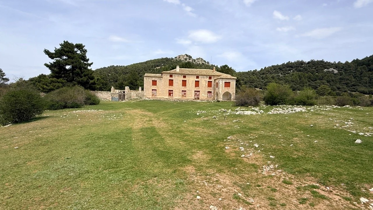 IMG_4997 Large.jpeg