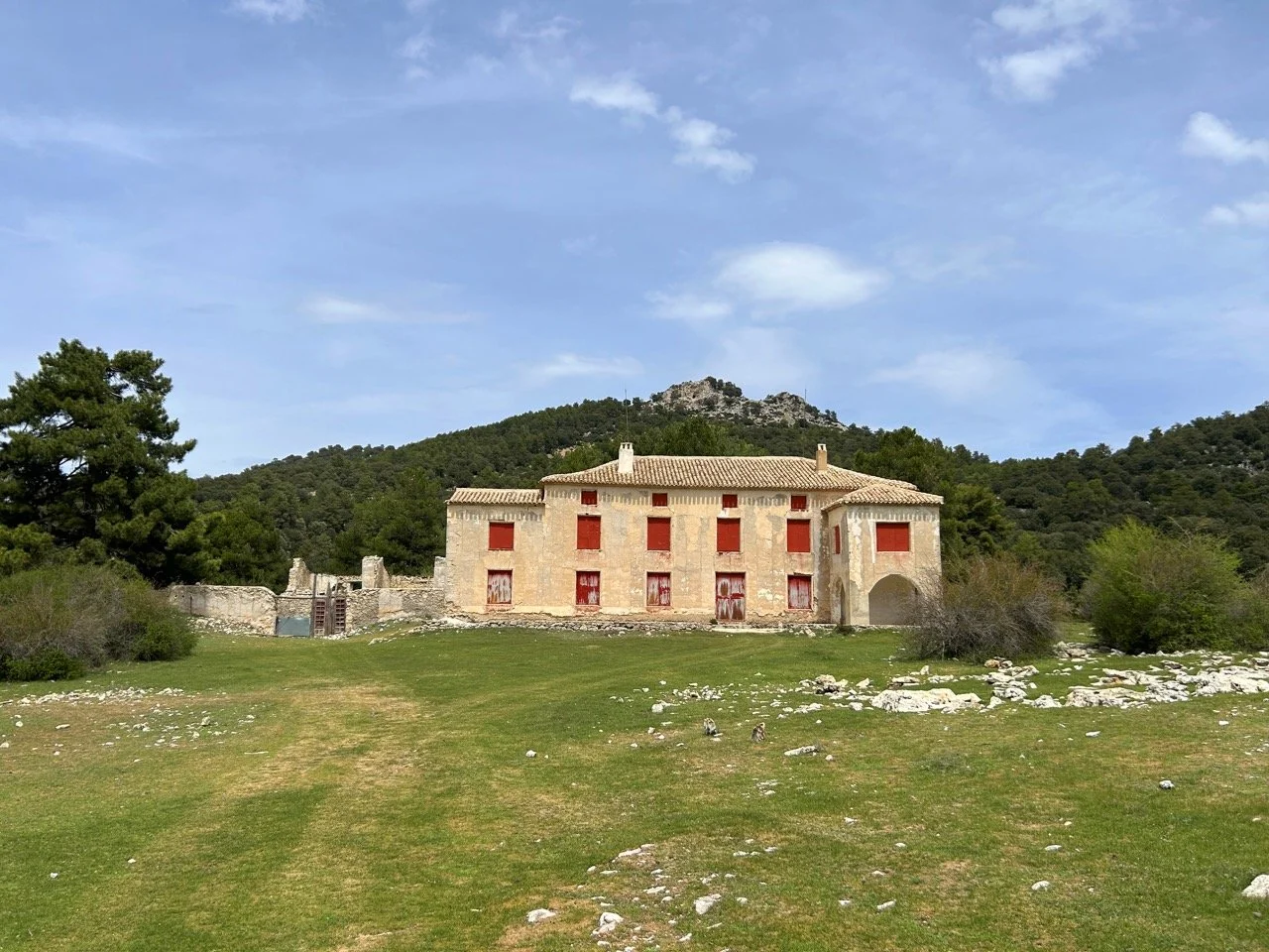 IMG_9664 Large.jpeg