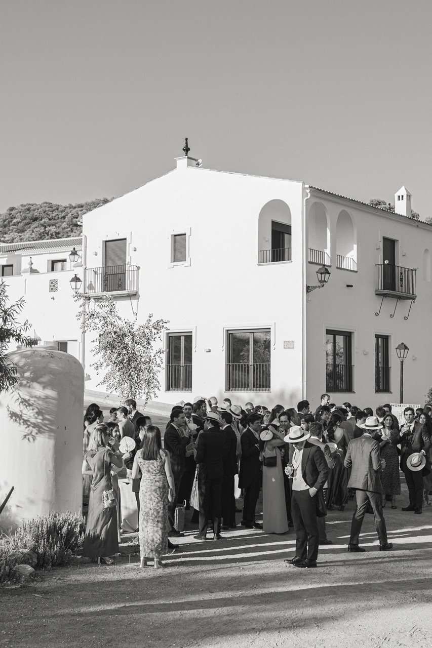 CeremoniaNonoyAlvaro-4 Large.jpeg