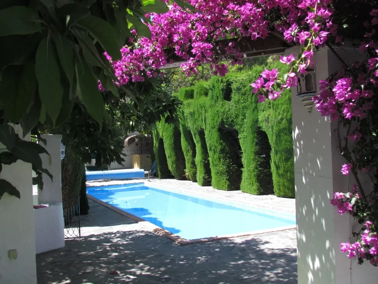 pool 01.webp