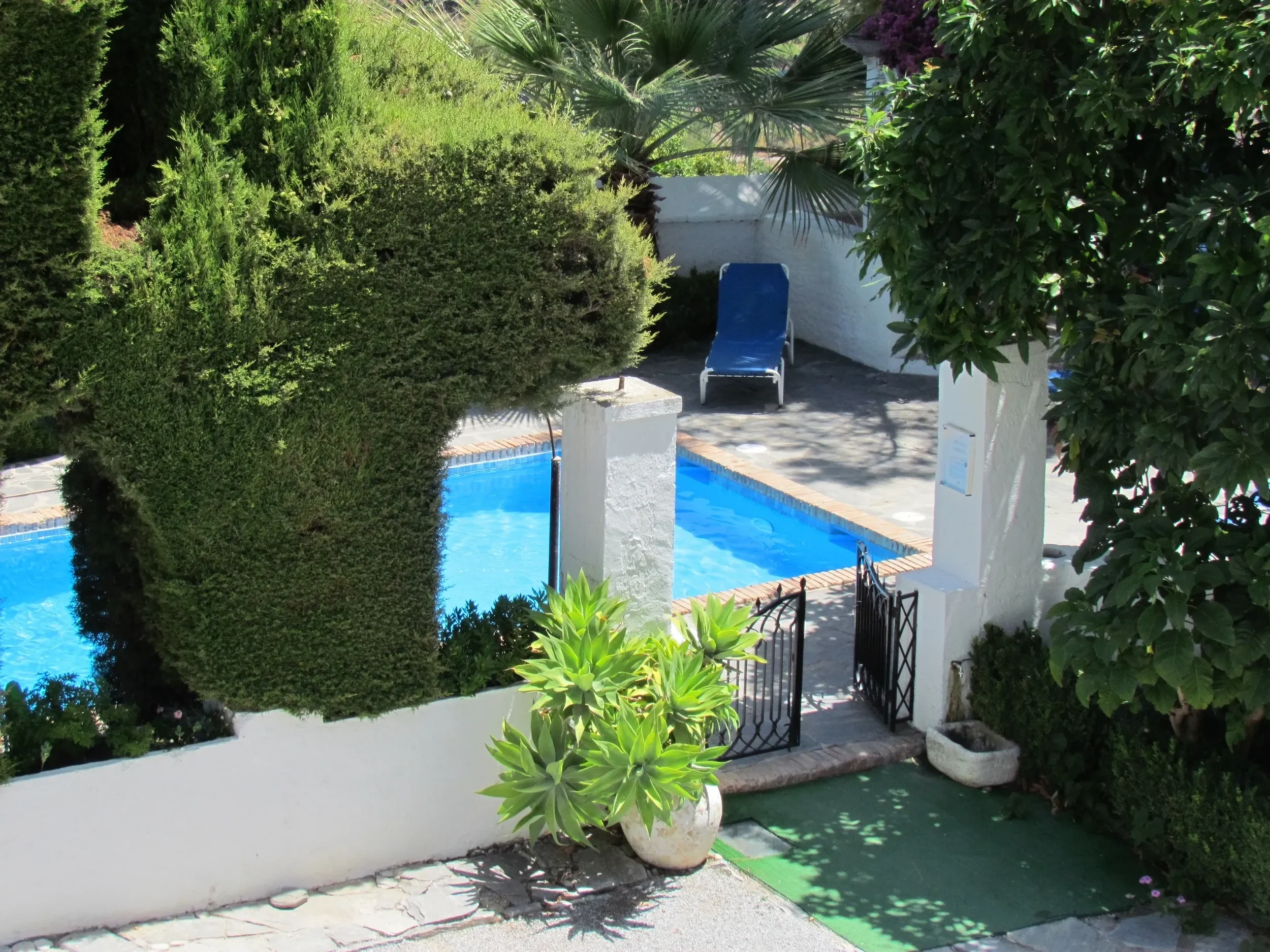 pool 02.webp