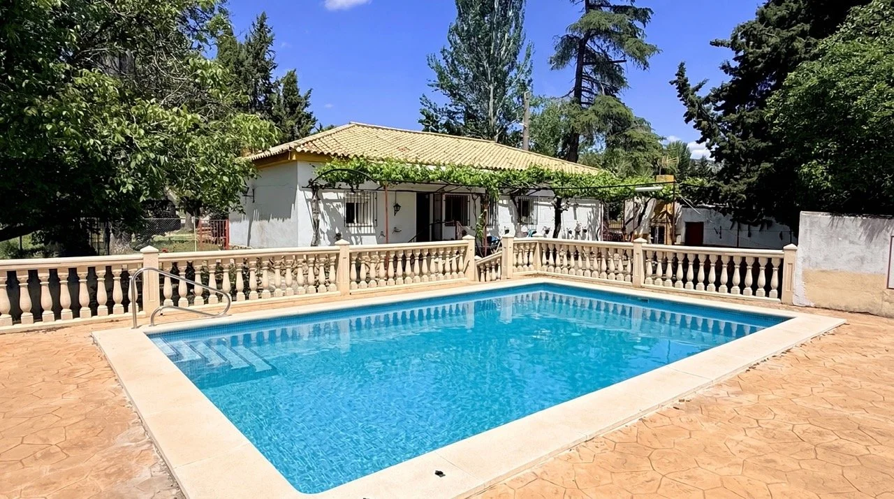 Meson El Alberon_pool Large.jpeg