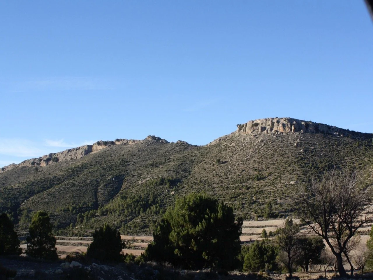 La cizana04 Large.jpeg