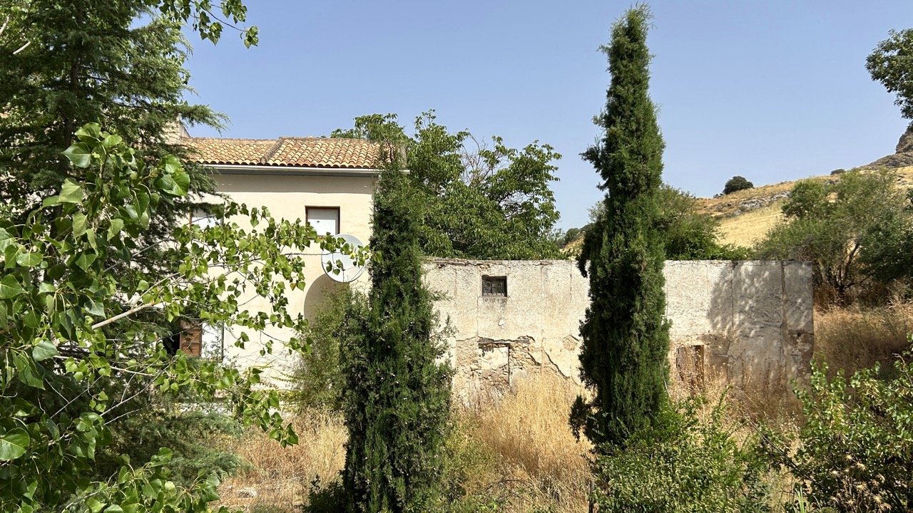 IMG_0274 Large.jpeg