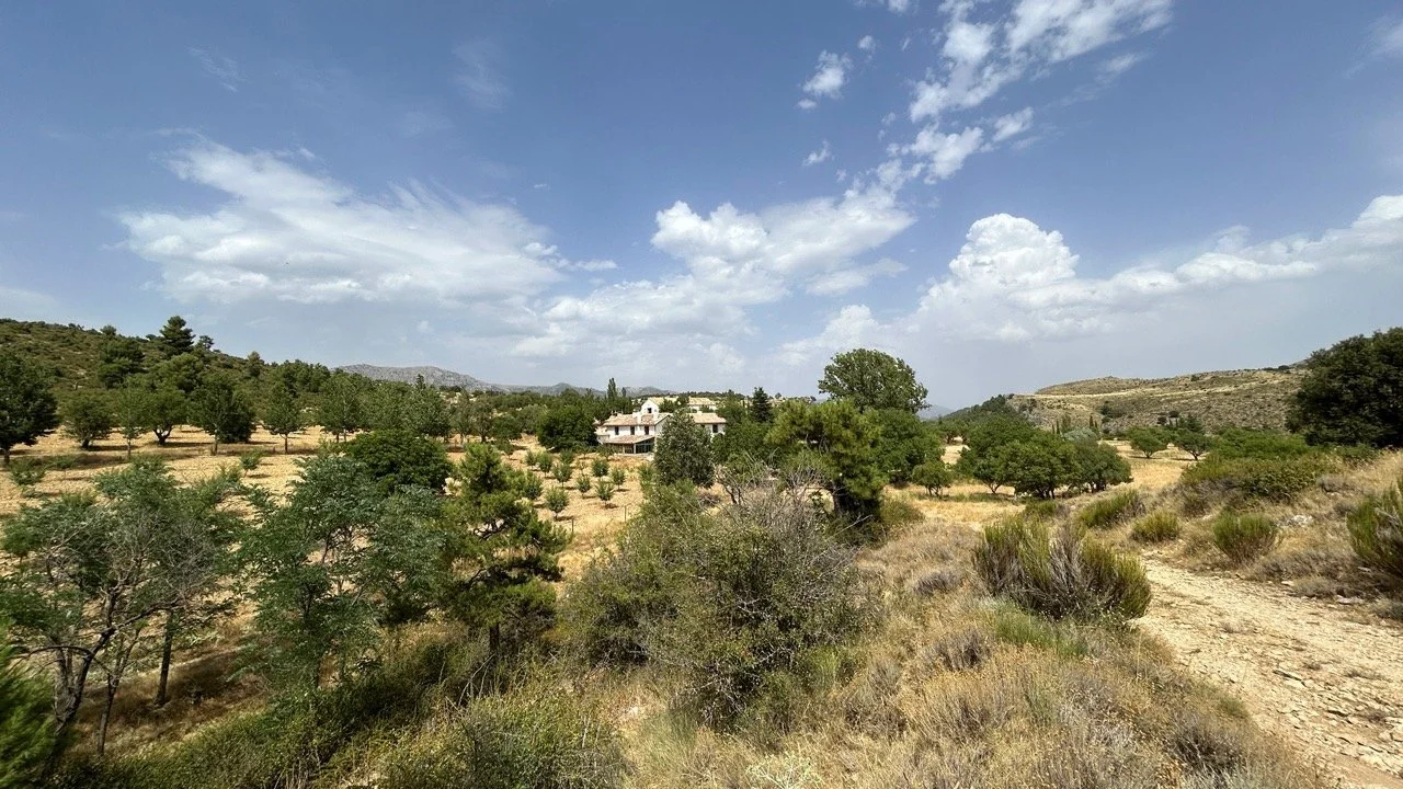 IMG_0396 Large.jpeg