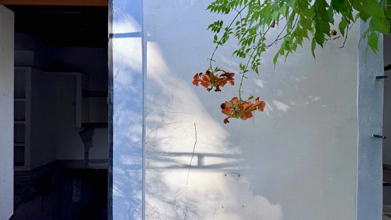 IMG_7395 Large.jpeg