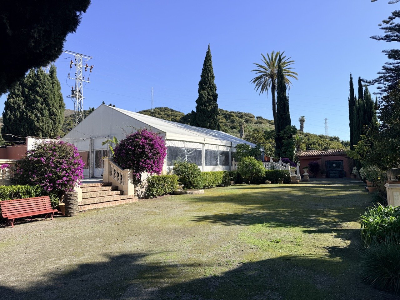 A large outdoor garden area with a white event tent, blooming purple flowering bushes, a red park bench, and various tall trees including palm trees and cypress trees under a clear blue sky.