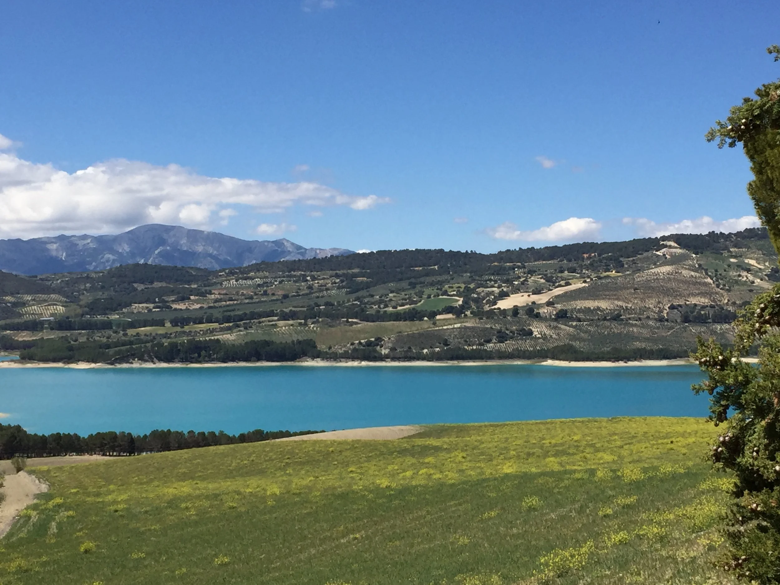 Lake Bermejales.JPG