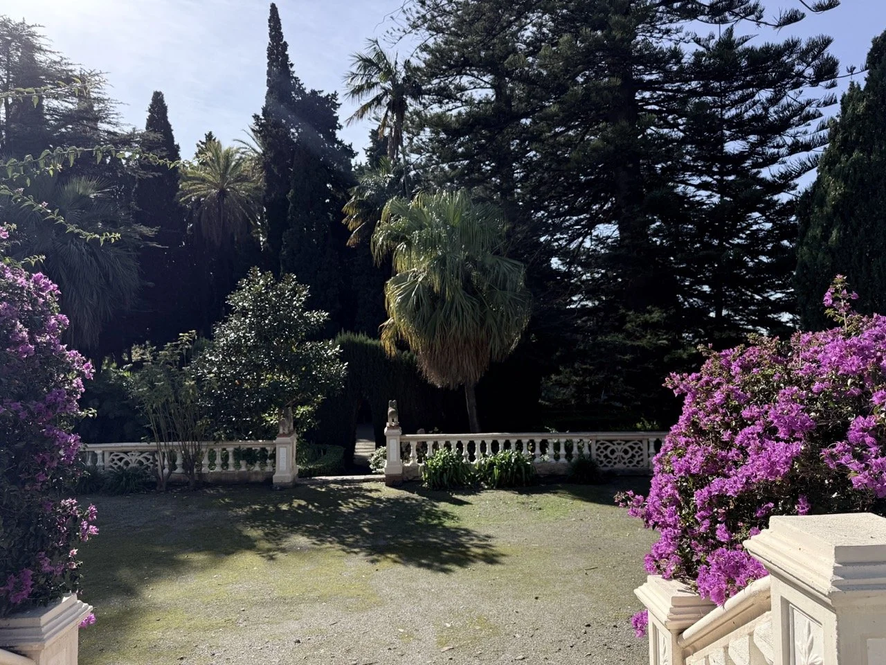A garden with a manicured lawn, purple flowering bushes, a white decorative fence, and varied tall trees including palms and conifers, under a clear sky with sunlight filtering through the trees.