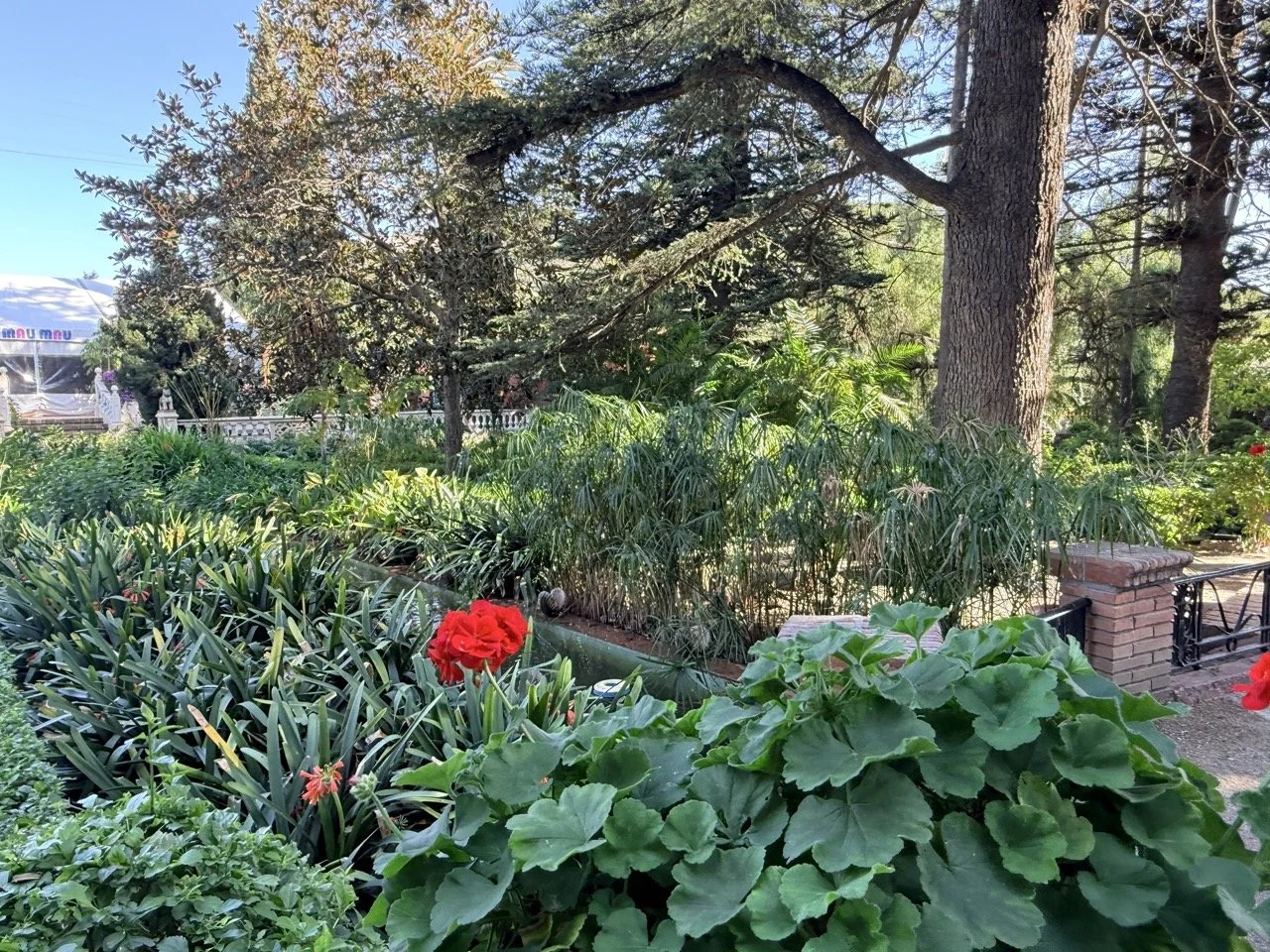 Lush garden with green plants, trees, and red flowers under bright sunlight.