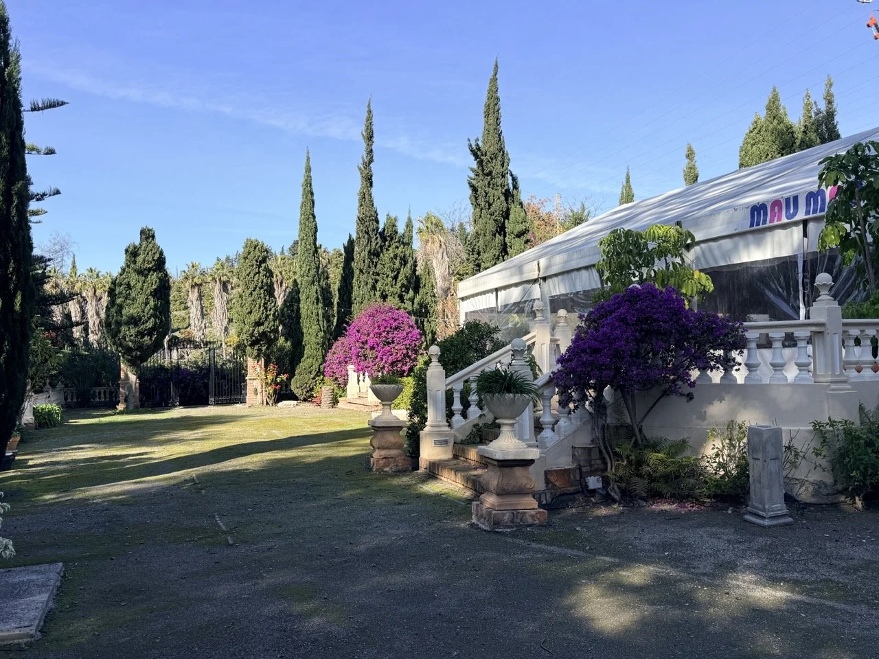 A garden with tall cypress trees, flowering purple bushes, a white tent with colorful text, a walkway with steps, and decorative urns.