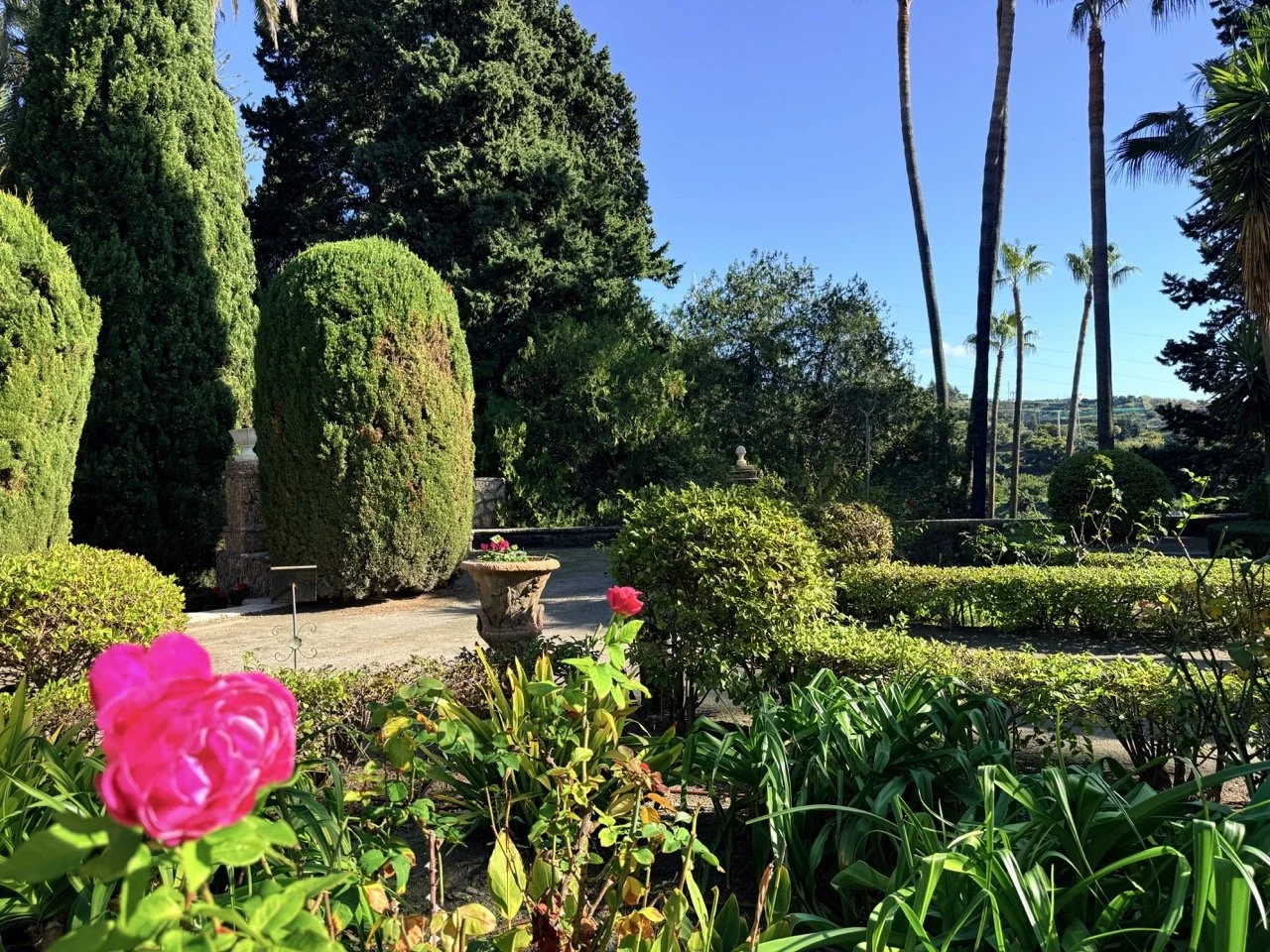A lush garden with various green bushes, tall palm trees, and vibrant pink flowers under a clear blue sky.