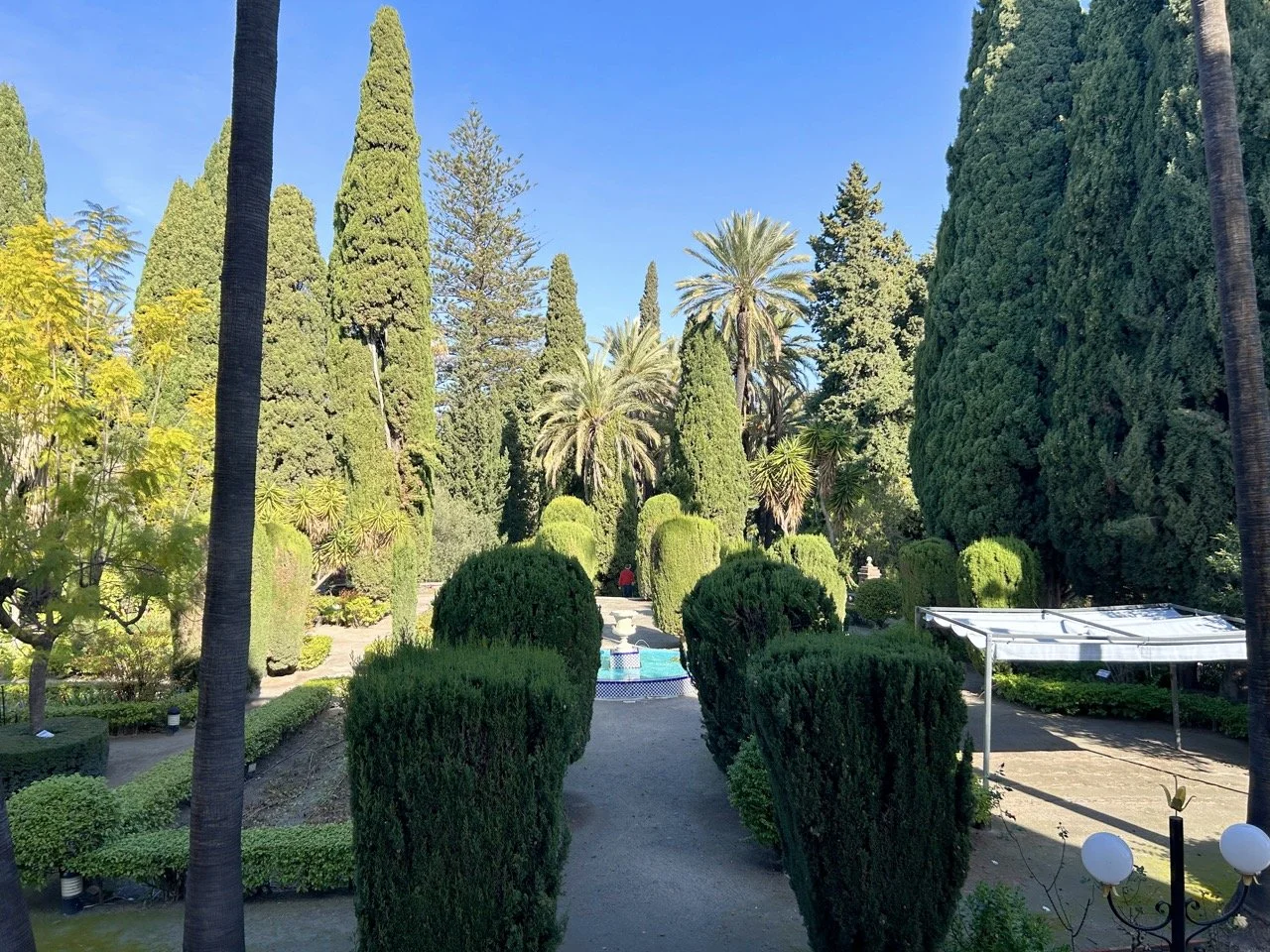 A lush garden with tall cypress trees, palm trees, and trimmed bushes, featuring a small fountain in the center, under a clear blue sky.