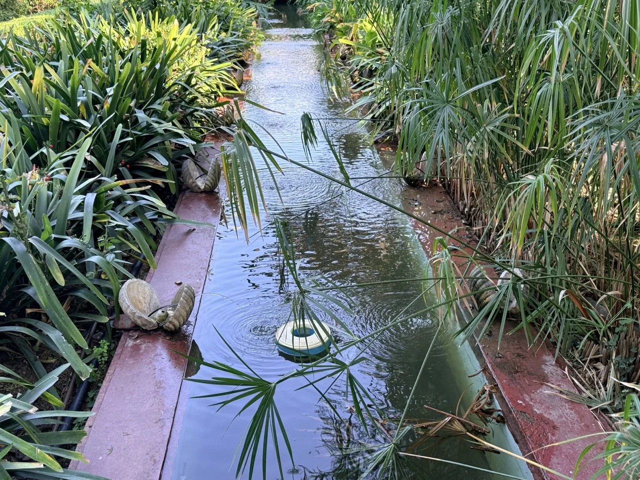 A narrow water channel bordered by dense green plants and grass, with a partially submerged small white boat with a green stripe in the water.