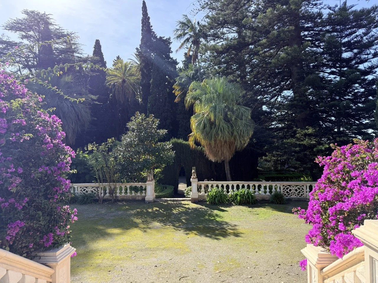 A lush garden with blooming pink and purple flowers, tall trees, and a decorative white stone fence with an open gate.