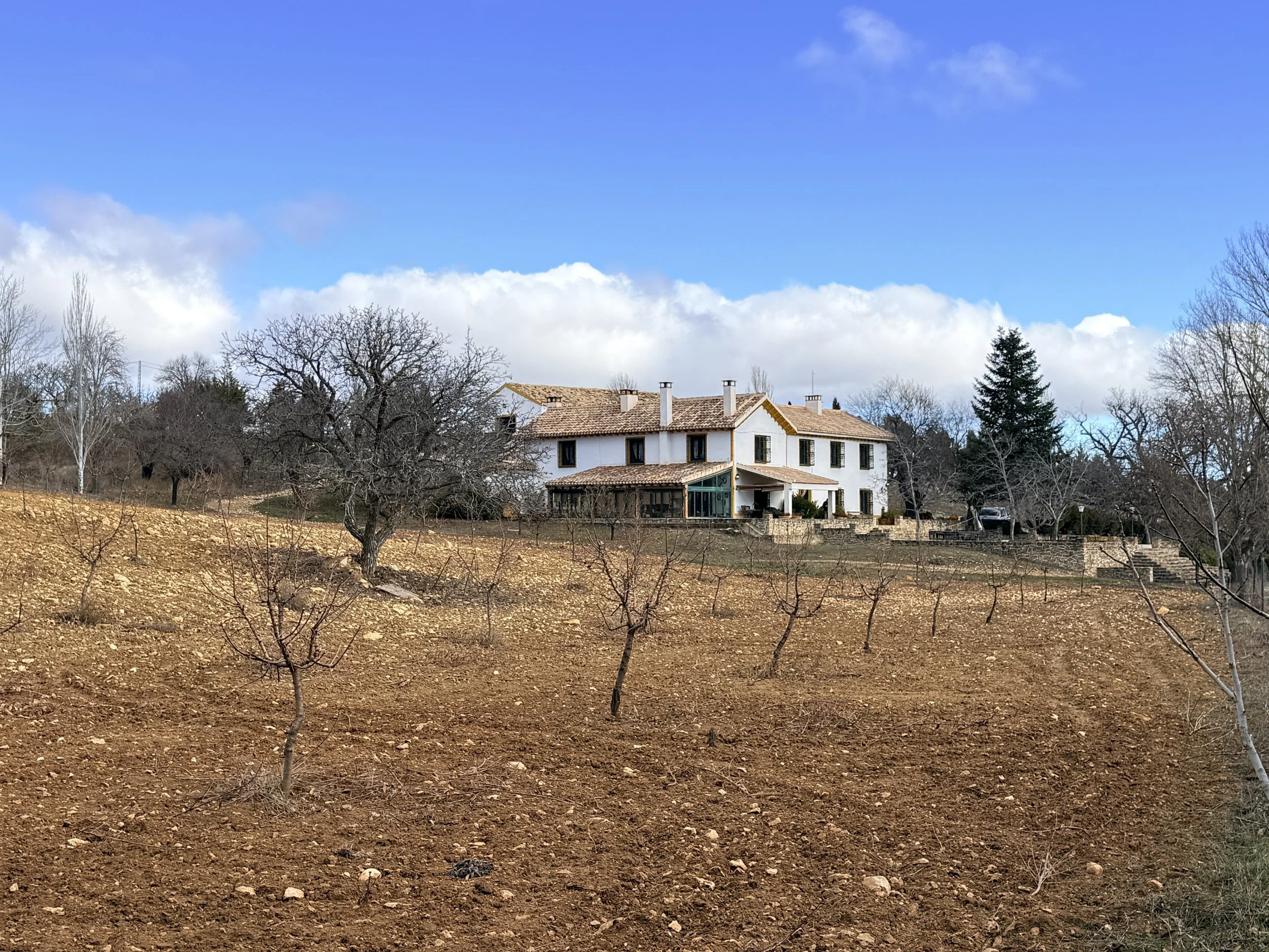 A large white house with multiple chimneys and a tiled roof situated on a hillside among leafless trees. The foreground shows a sloped yard with small, bare trees, and the sky is mostly cloudy with blue patches.