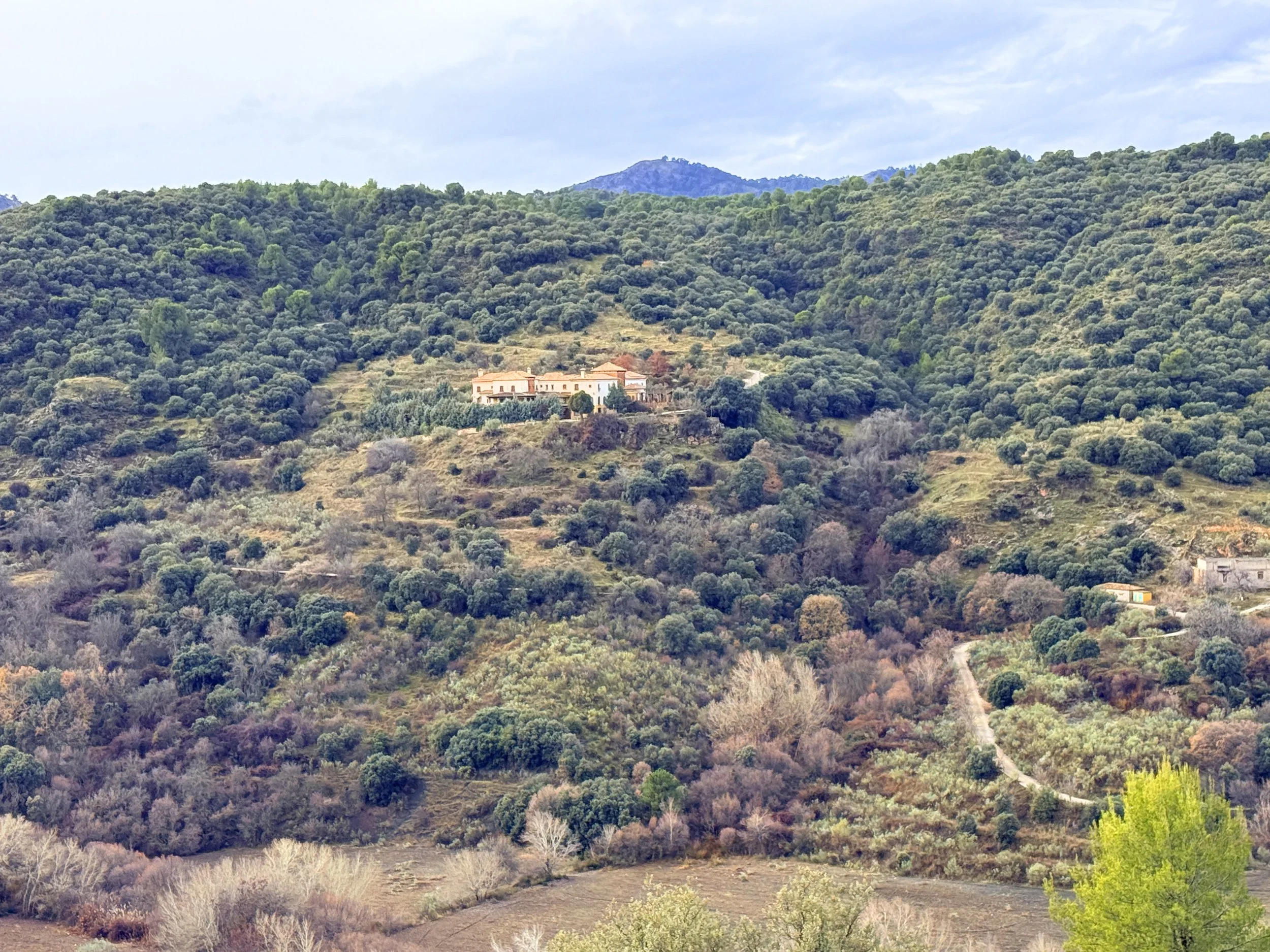 Scenic landscape of rolling green hills with a house on a hillside, sparse trees, and a winding dirt road, under a cloudy sky.