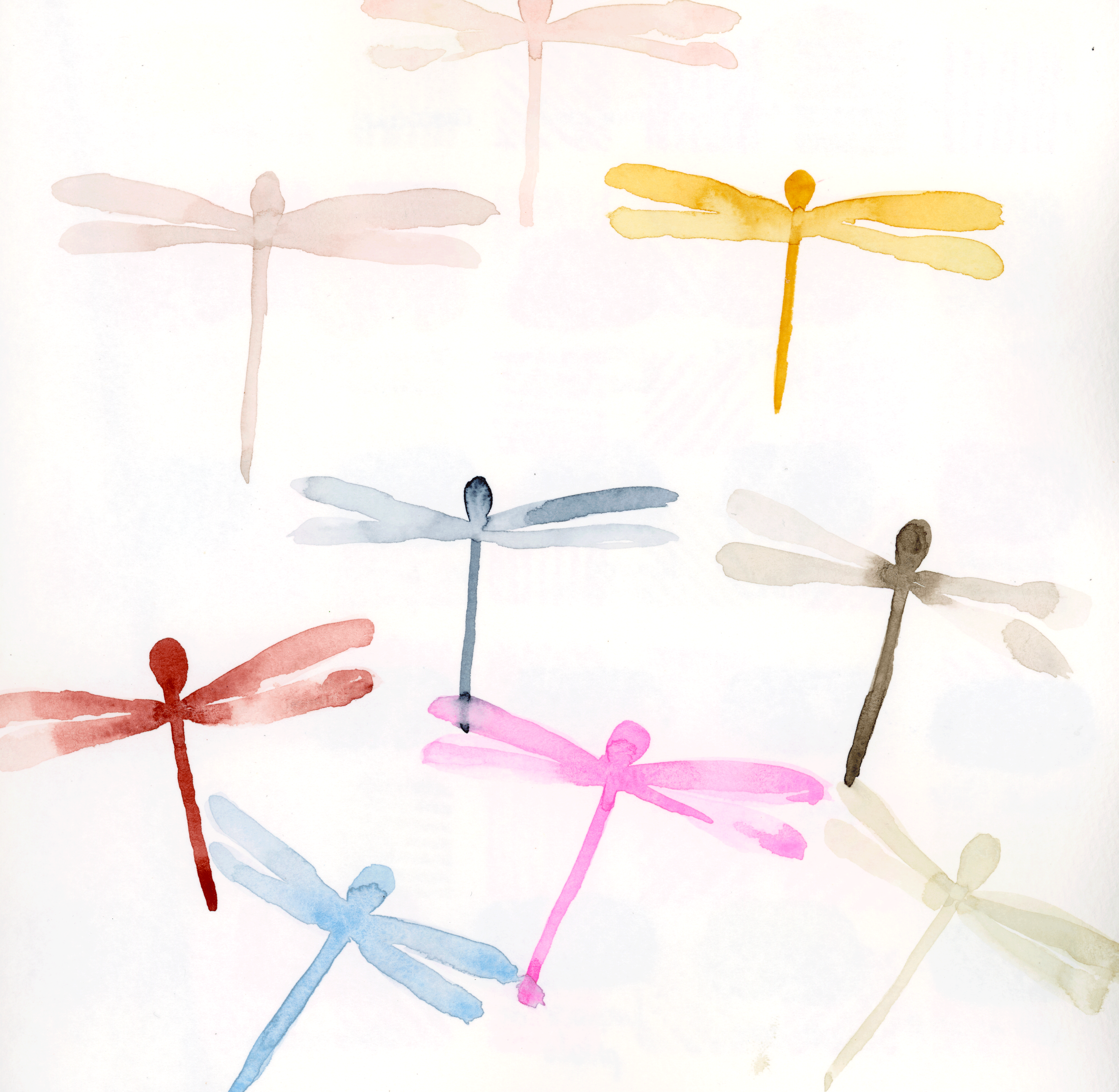fireflyweb.png