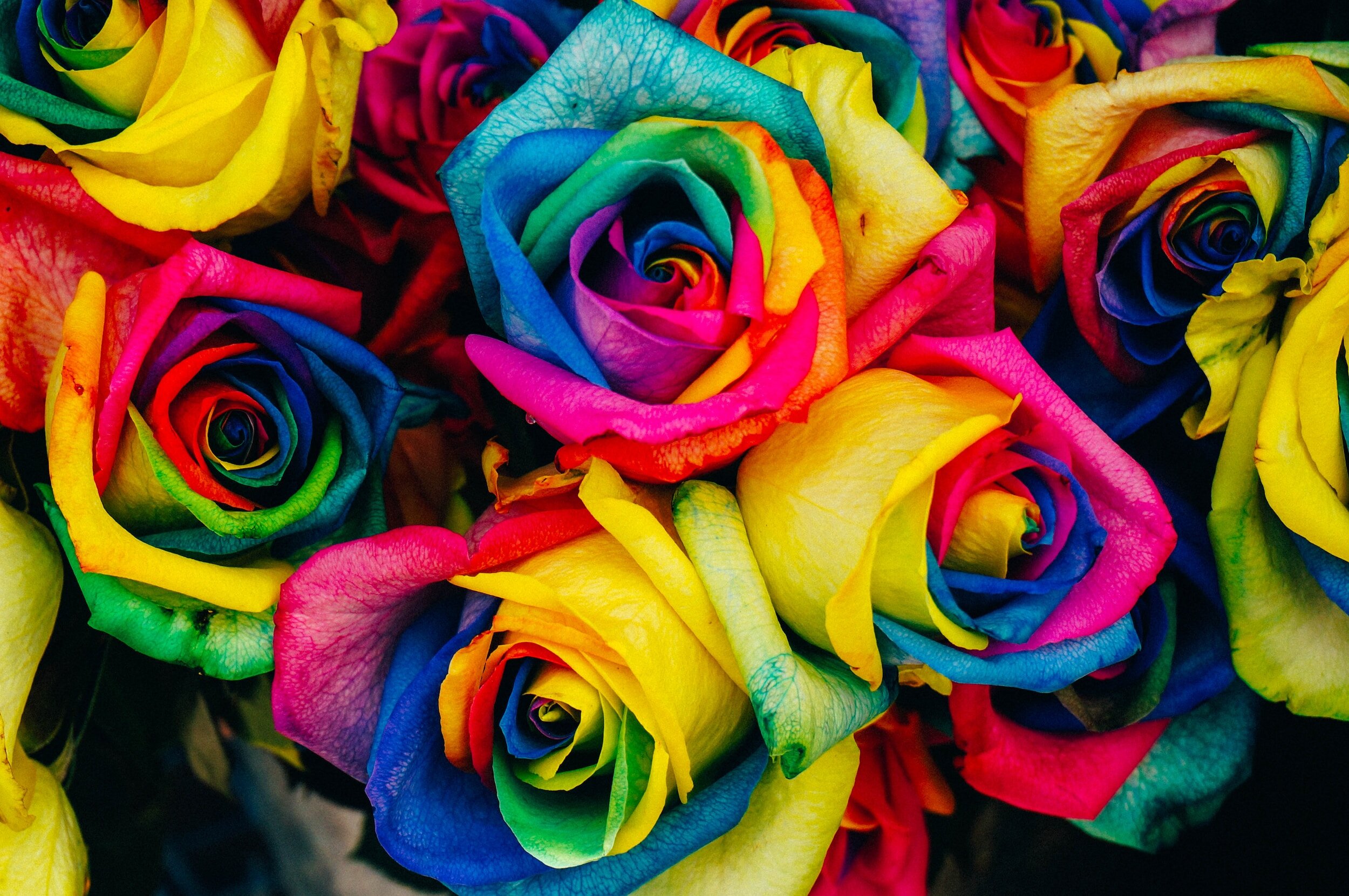 3 Easy Ways To Manifest With Color Every Day