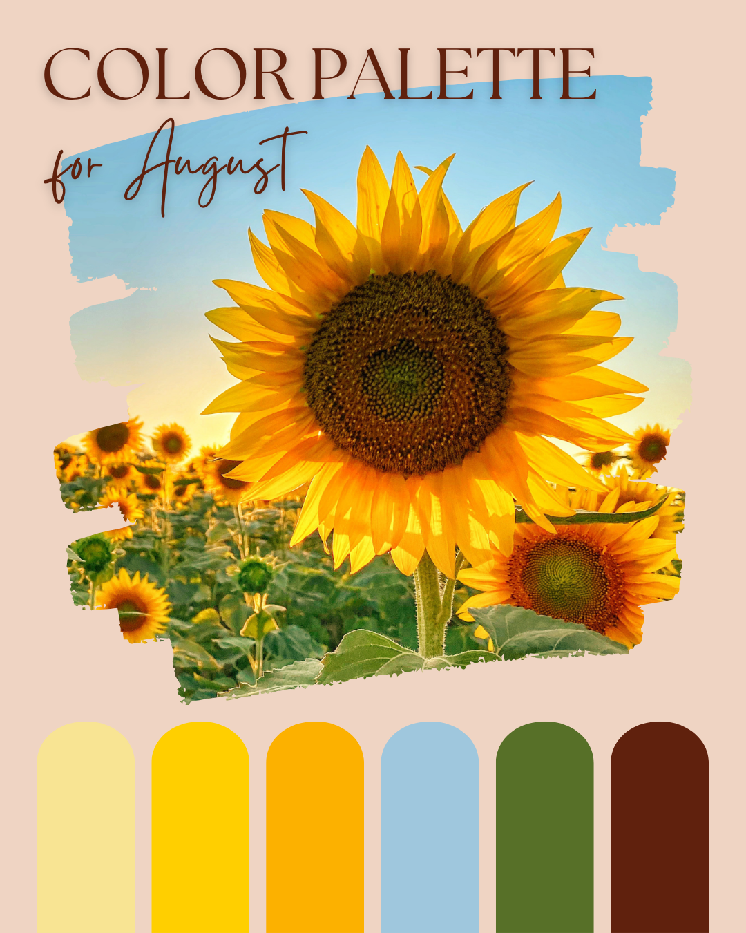 August Color Lab What Colour Is…August? — Chromagik