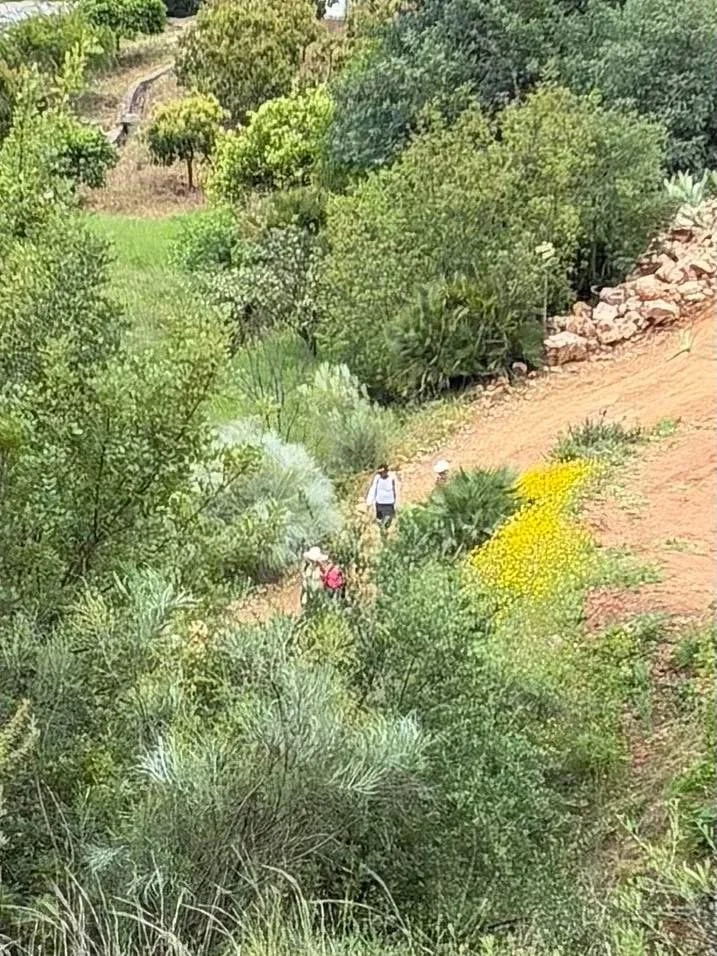 Valley Trail  -  Sierra de las Nieves National Park at the foot of the Sierra Blanca, Malaga Province, Andalucia.