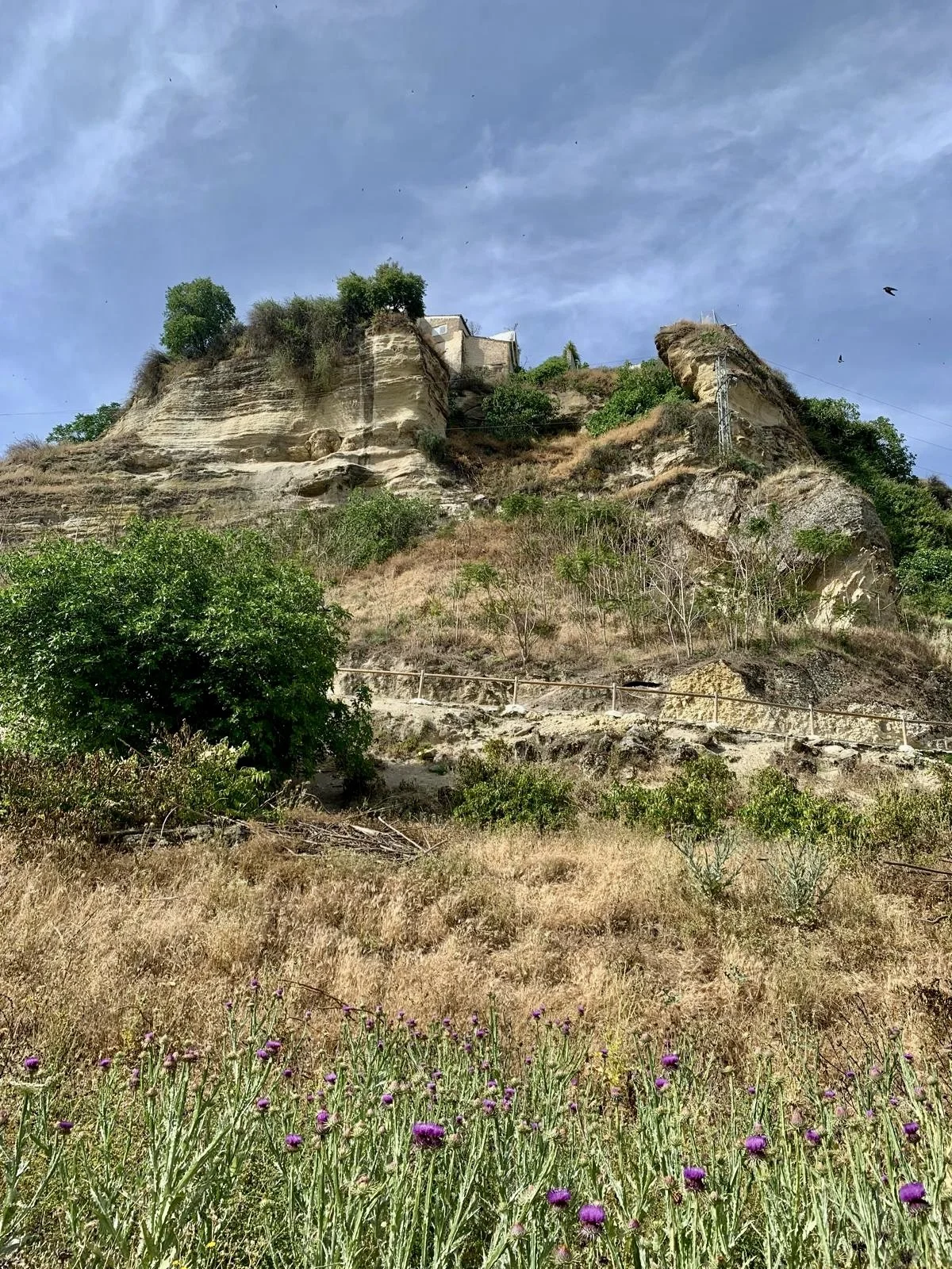 Spring Holiday2025 Photo 4.jpeg