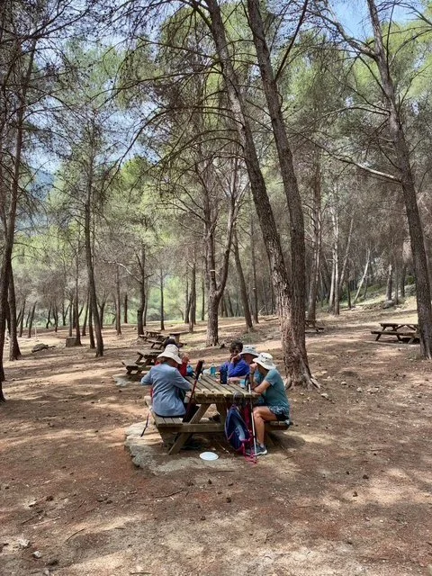 Tolox Forest -  Sierra de las Nieves National Park at the foot of the Sierra Blanca, Malaga Province, Andalucia.