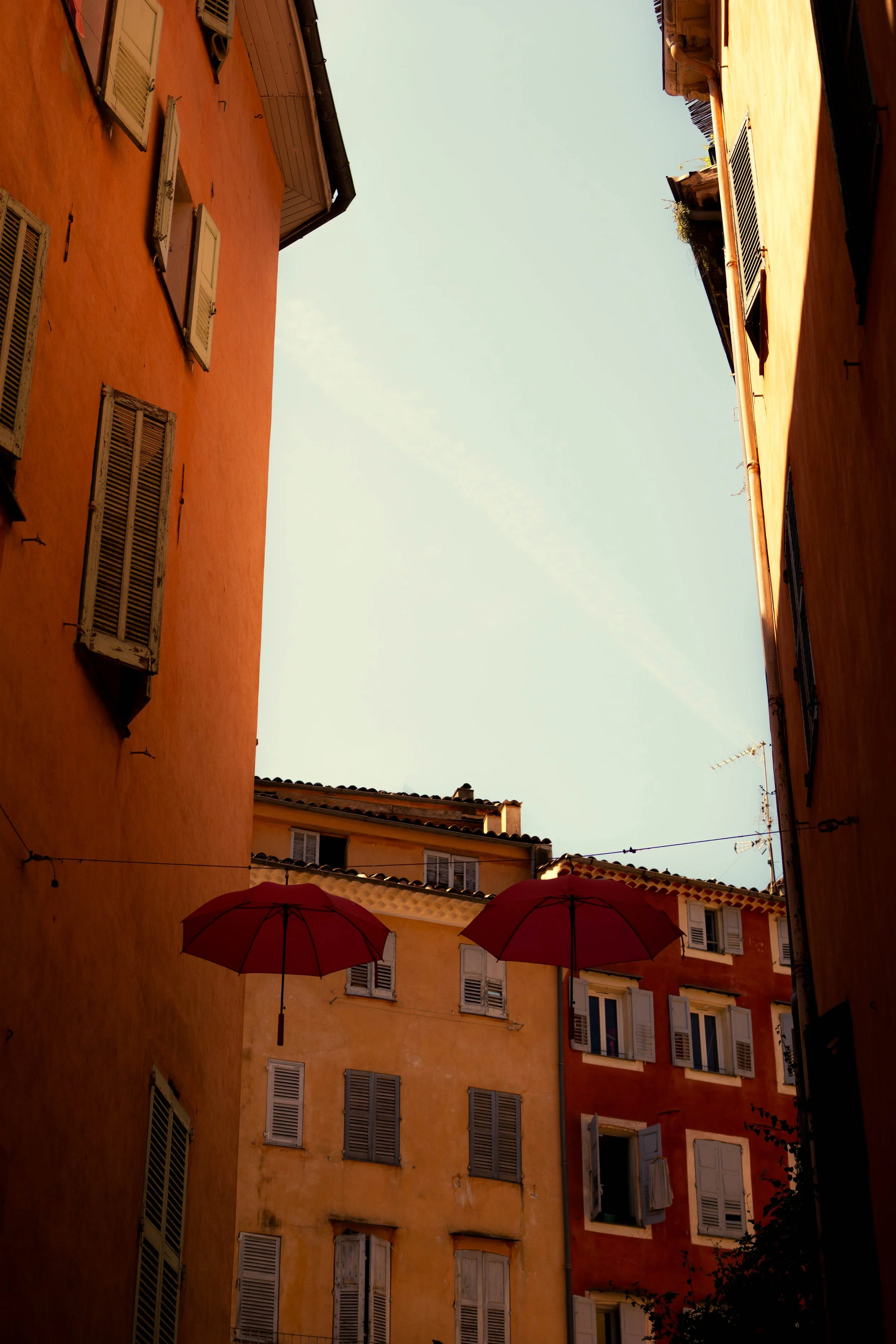 DSC07640.jpg