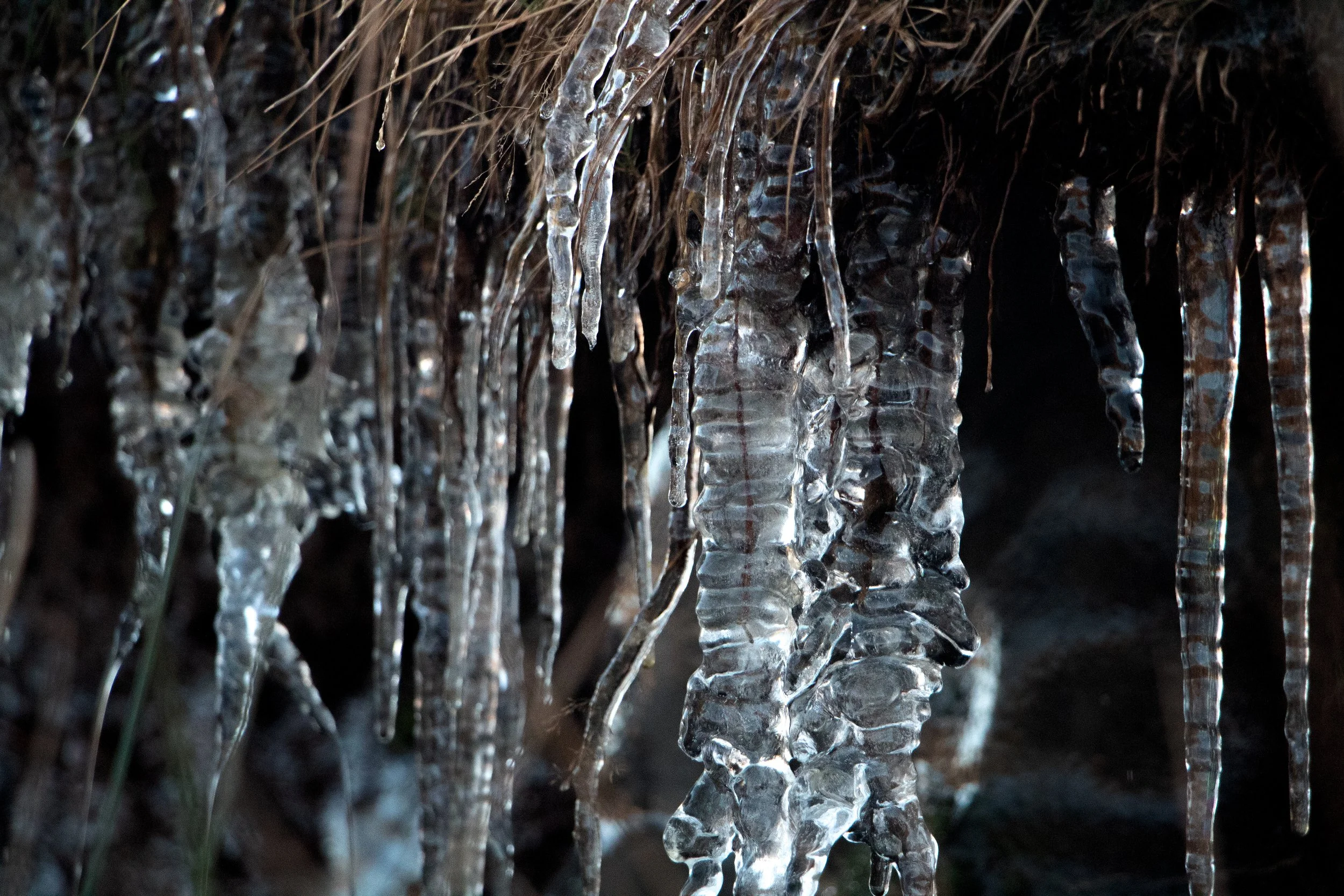 ice.jpg