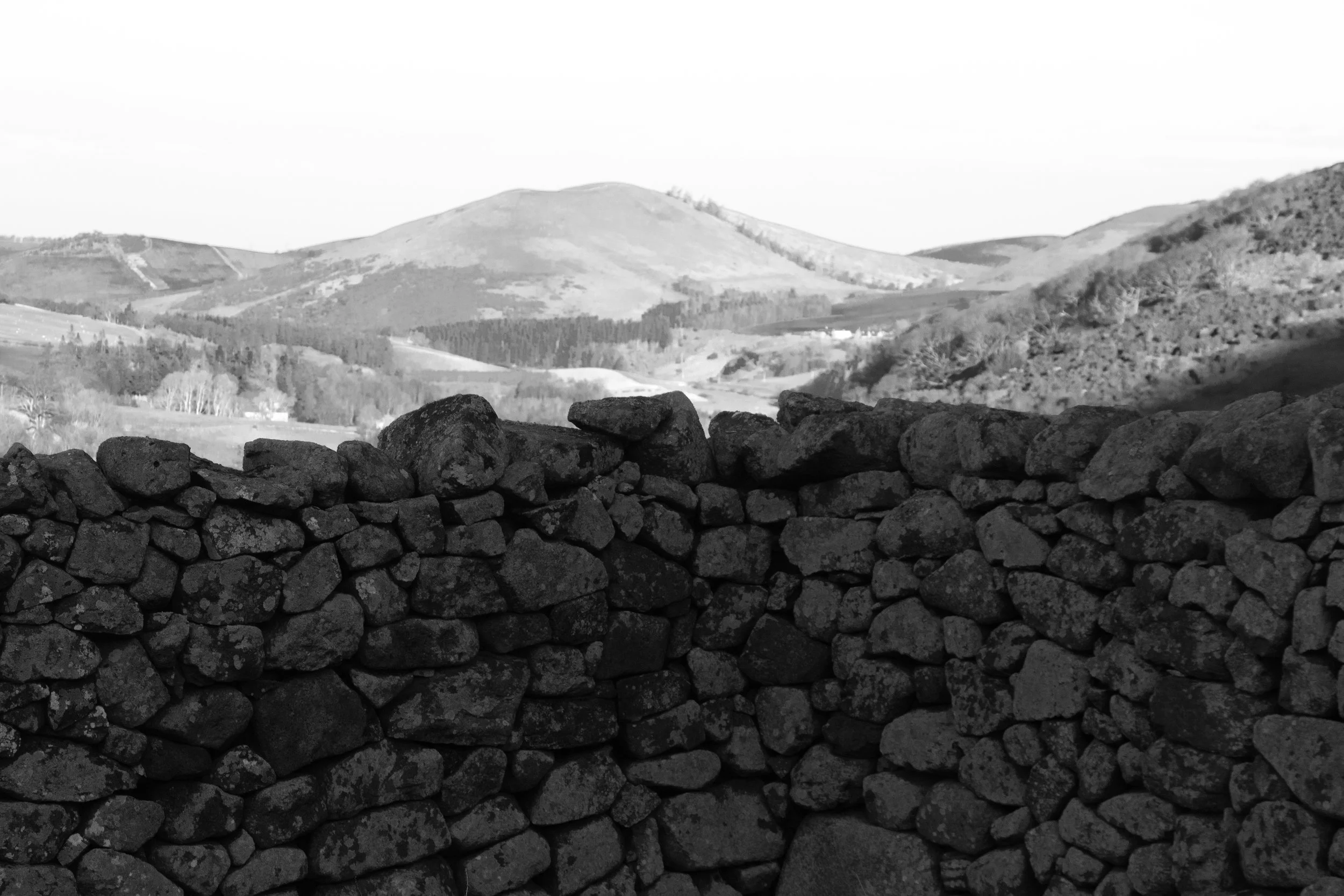 hills b+w.jpg
