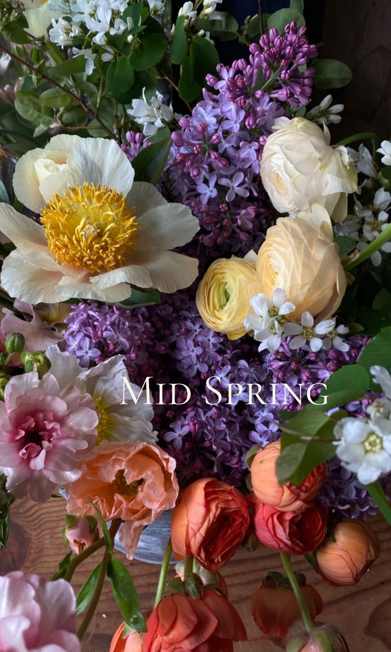 Untitled (1500 x 2500 px) (2).jpg