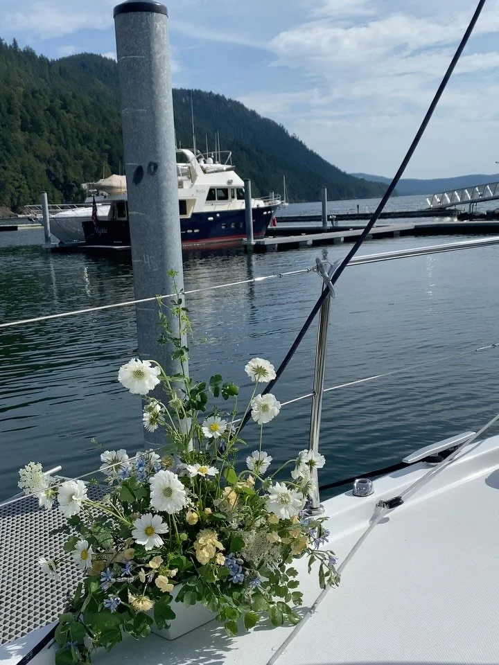 ⛵️Do you ever dream about sailing off into the sunset with your honey? I certainly do!

Sailboats have such a quality of simplicity, freedom and romance. Port Townsend has such a sailing and boat culture here - you can&rsquo;t sit at the bar vey long