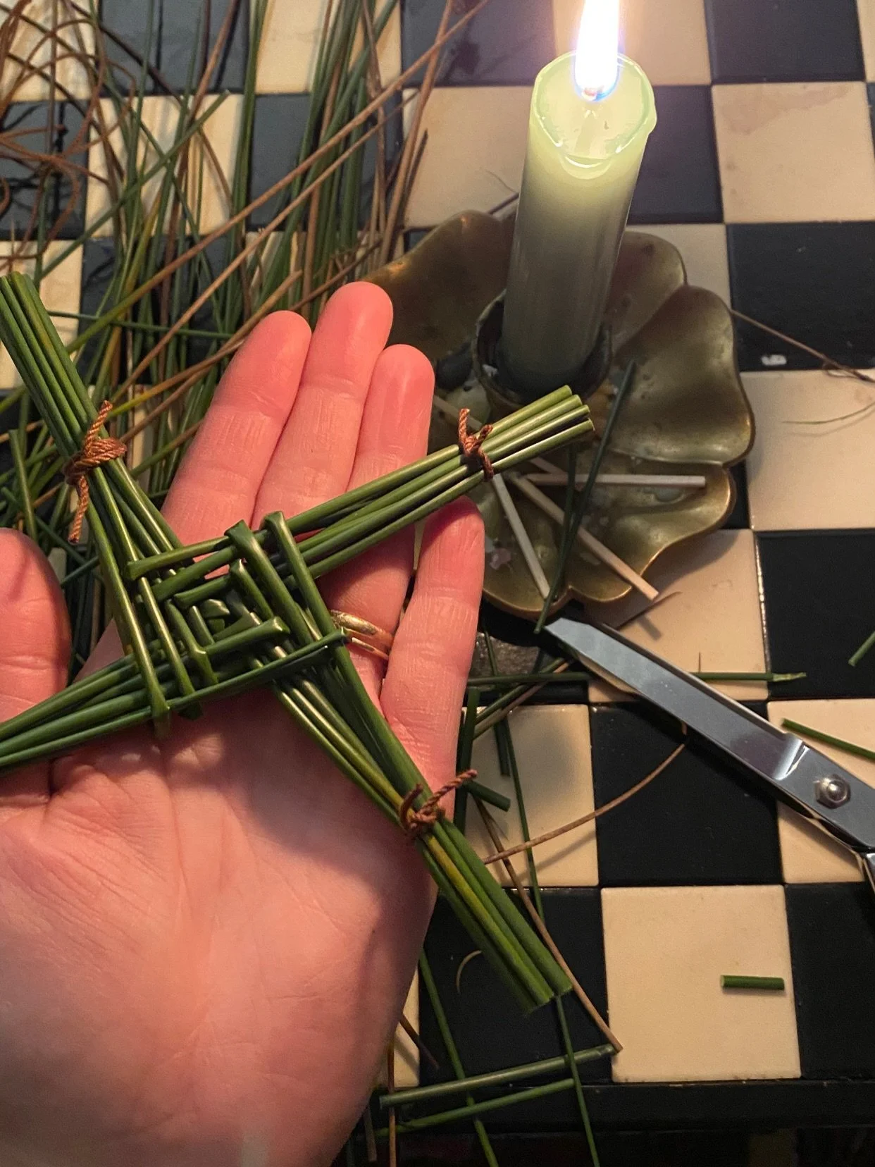 Winter color of the week: 💚 green! (This is an easy one in the evergreen Pacific Northwest.)

St. Brigid&rsquo;s Day also called Imbolc is right around the corner on February 1st. It marks the halfway mark between winter solstice and spring equinox.