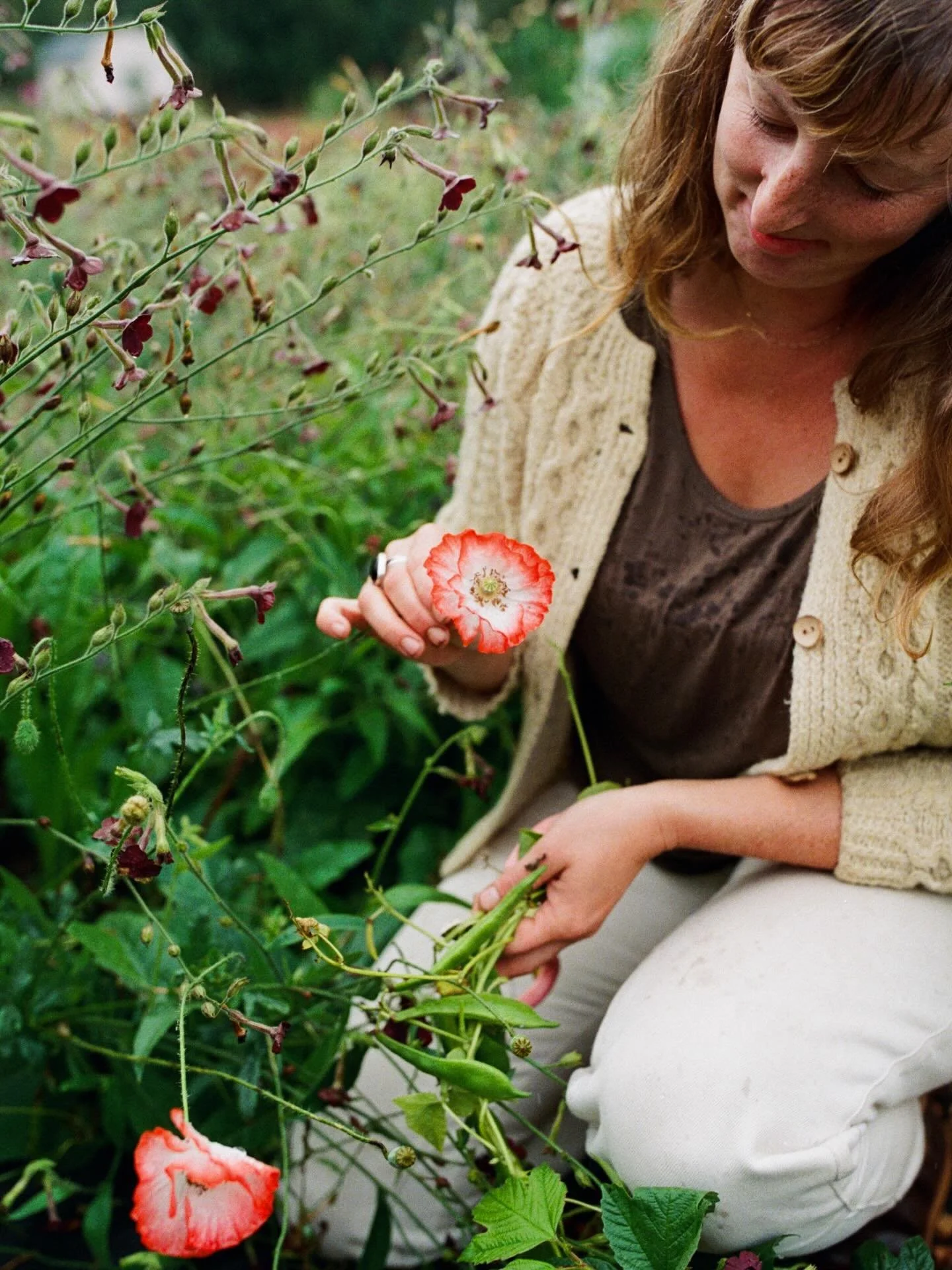Maker &bull; Doer &bull; Tinkerer - I wear a lot of hats!🎩 

Also I&rsquo;m a farmer -floral designer for my own business @fabled.flora - marketing-communications manager for @ptwoodschool - justice seeker - candle maker - vintage enthusiast - inter