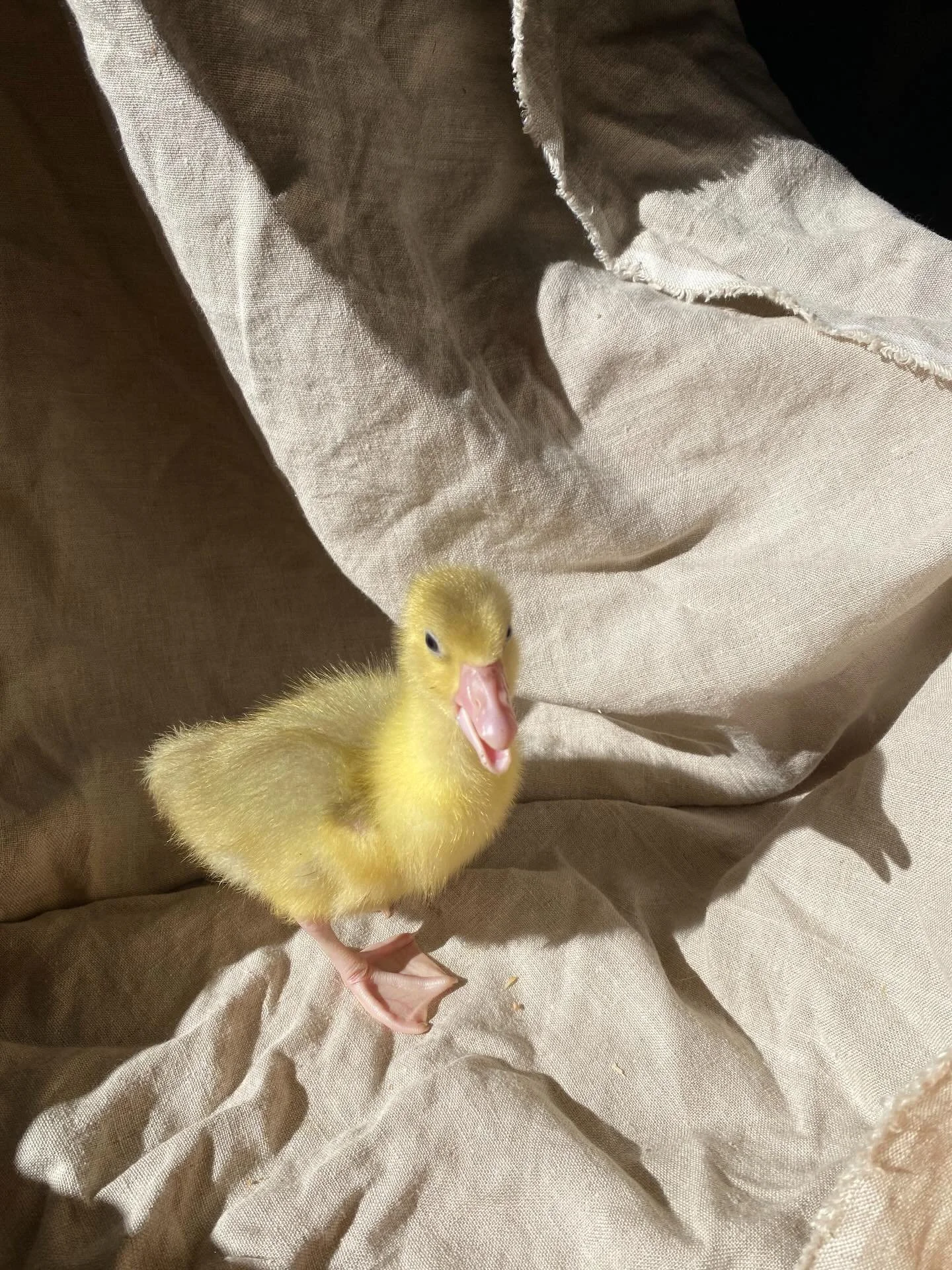 I am not a niche. As a business nor as a human.

Typical business advice tells you to stick to one thing that you offer and just talk about that consistently. But by doing that people associate you with that one thing, and therefore you will be succe