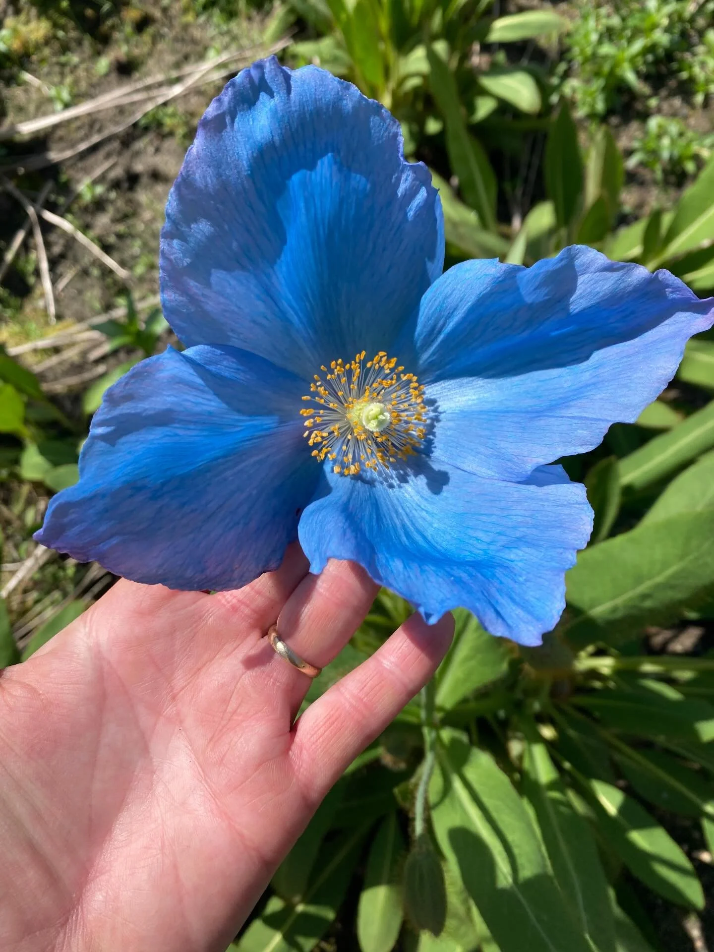 🤔 AI vs. growers/ makers/ craftspeople/ artists

The advent of the electricity, the telephone, and even the Internet, people were really frightened about the change that it was going make to their lives. 

While I&rsquo;m personally not interested i