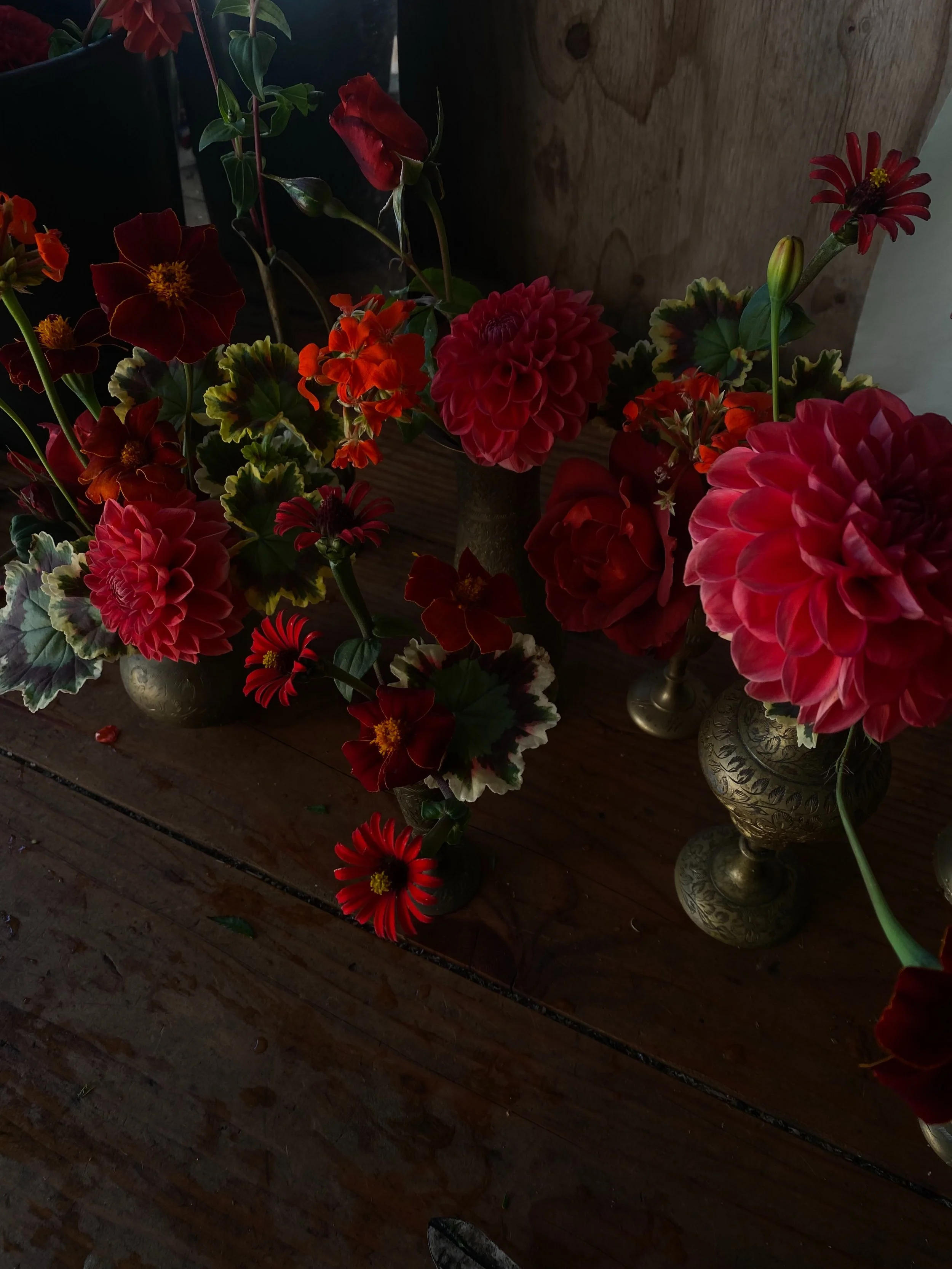 💄Red is making a comeback. Have you heard?

For the bold, romantic wedding couple - this deep coral is perfect for an autumn wedding where the light is low and candlelight illuminates vintage brass vessels. Che bella!

Geranium &lsquo;Mrs. Pollock,&