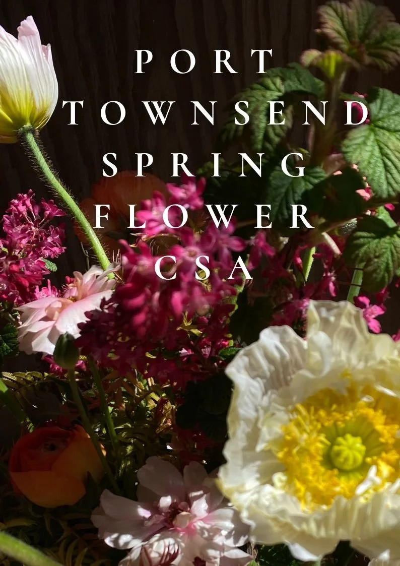 Port Townsend Spring Flower CSA Membership
