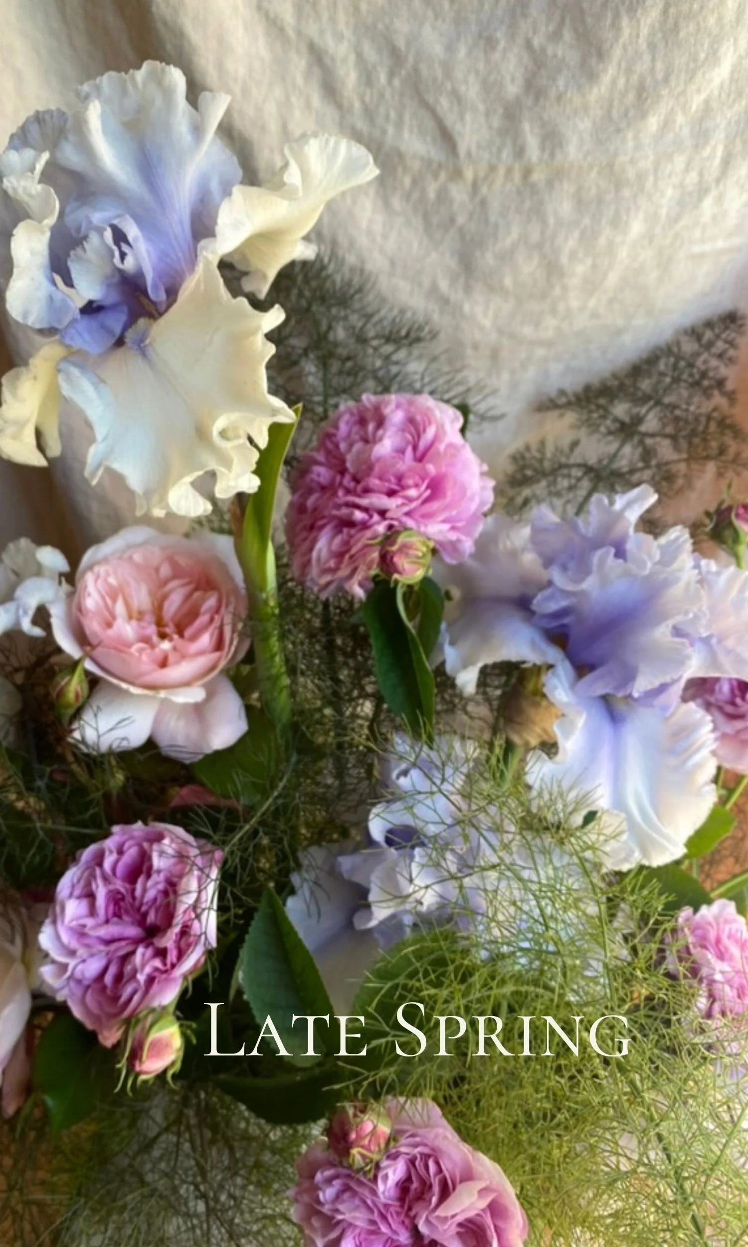 Untitled (1500 x 2500 px) (3).jpg