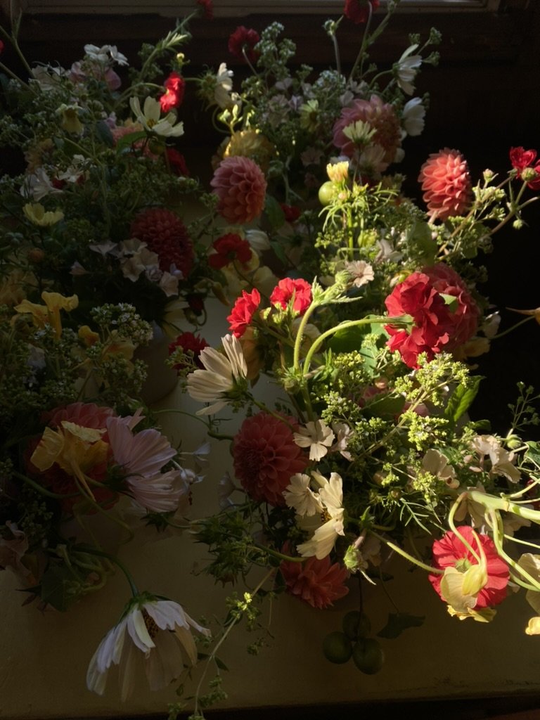 Assorted colorful flowers including dahlias, daisies, and other blossoms on a window sill in sunlight.